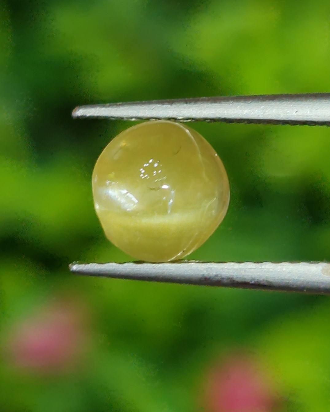 พลอย ตาแมว คริโซเบริล Cat eye Chrysoberyl 1.62 กะรัต (Cts.) พลอยแท้ อัญมณีมงคลประจําวันเกิด เครื่องประดับพลอย