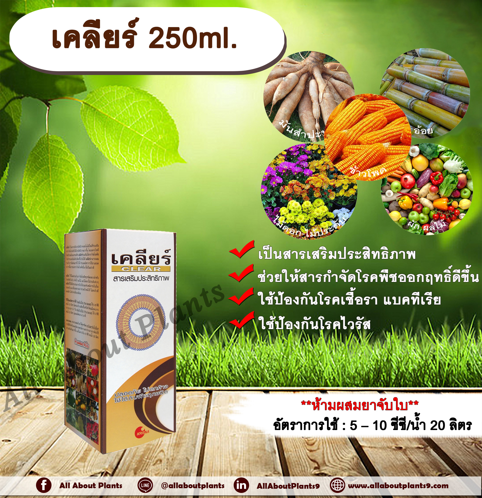 เคลียร์ 250ml. สารเสริมประสิทธิภาพ ช่วยให้สารกำจัดโรคพืชมีประสิทธิภาพมากขึ้น ป้องกันเชื้อรา แบคทีเรีย ไวรัส ขัดผิวผลผลิต allaboutplants ชิ้น