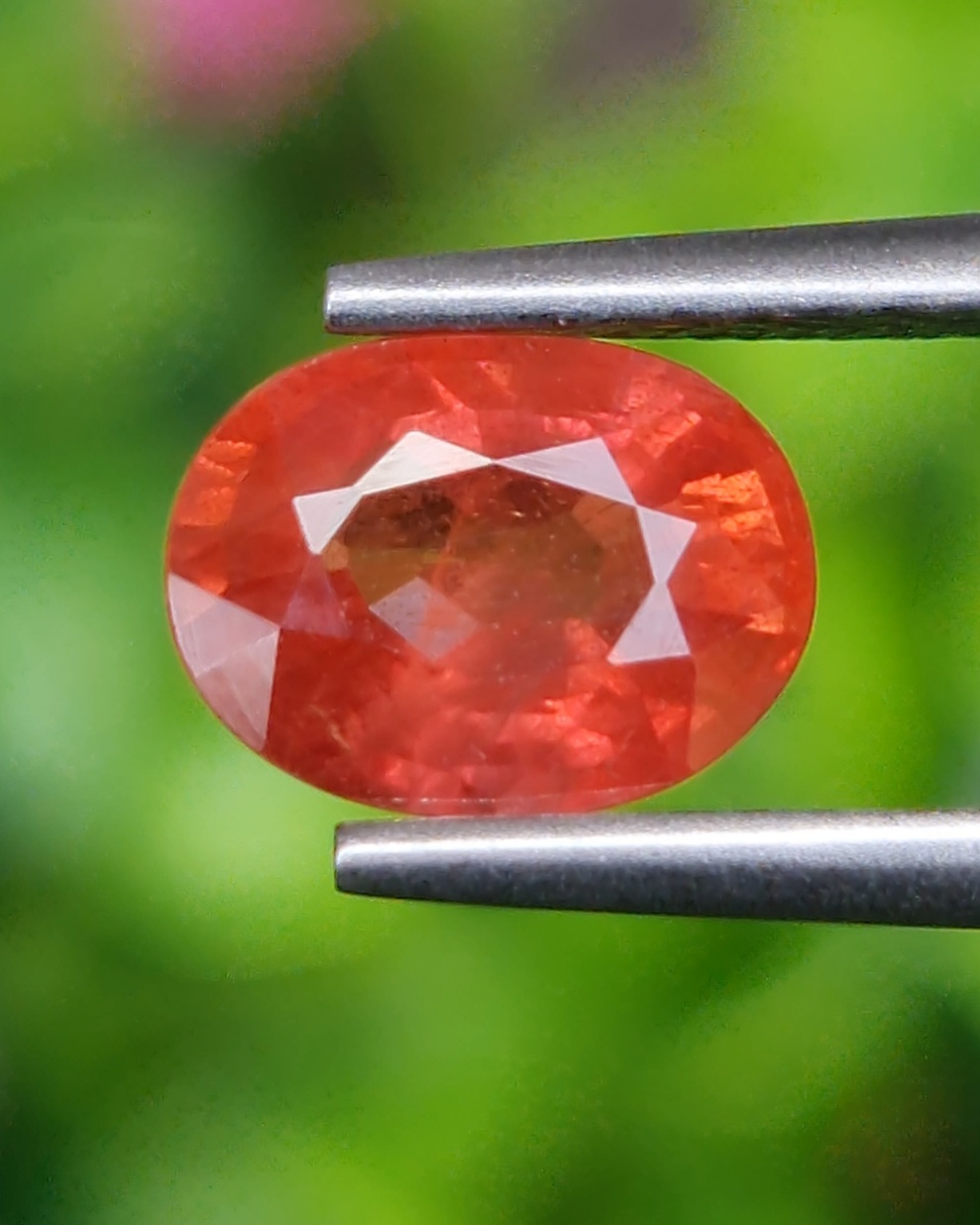 พลอย บุษราคัม Yellow Sapphire 1.63 กะรัต (Cts.) พลอยแท้ อัญมณีมงคลประจําวันเกิด เครื่องประดับพลอย