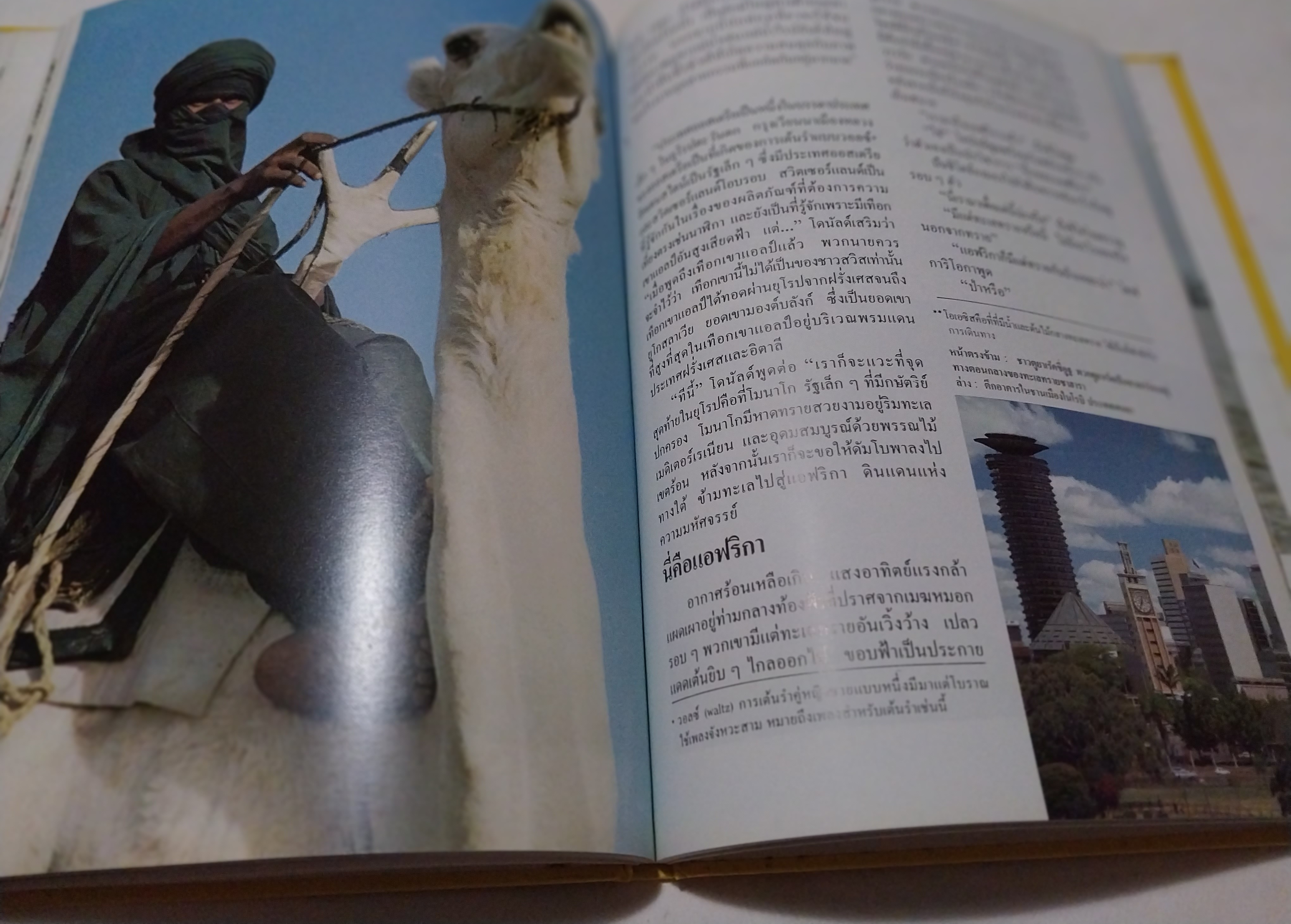 หนังสือดิสนีย์ เล่ม 13 เรื่องทวีป หนังสือปกแข็ง ตัวการ์ตูนดิสนีย์เล่าเรื่อง โลกมหัศจรรย์ ในเล่มนี้คุณหนูๆจะได้ทราบเกี่ยวกับ