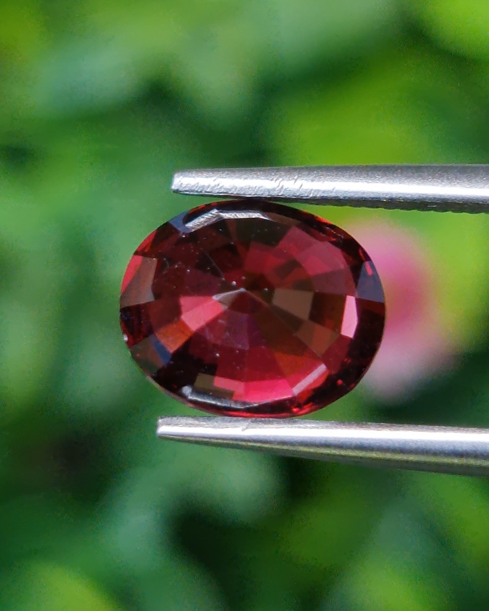 พลอย โรโดไลต์ กาเน็ท Rhodolite Garnet 3.00 กะรัต Cts.พลอยแท้ อัญมณีมงคลประจําวันเกิด เครื่องประดับพลอย