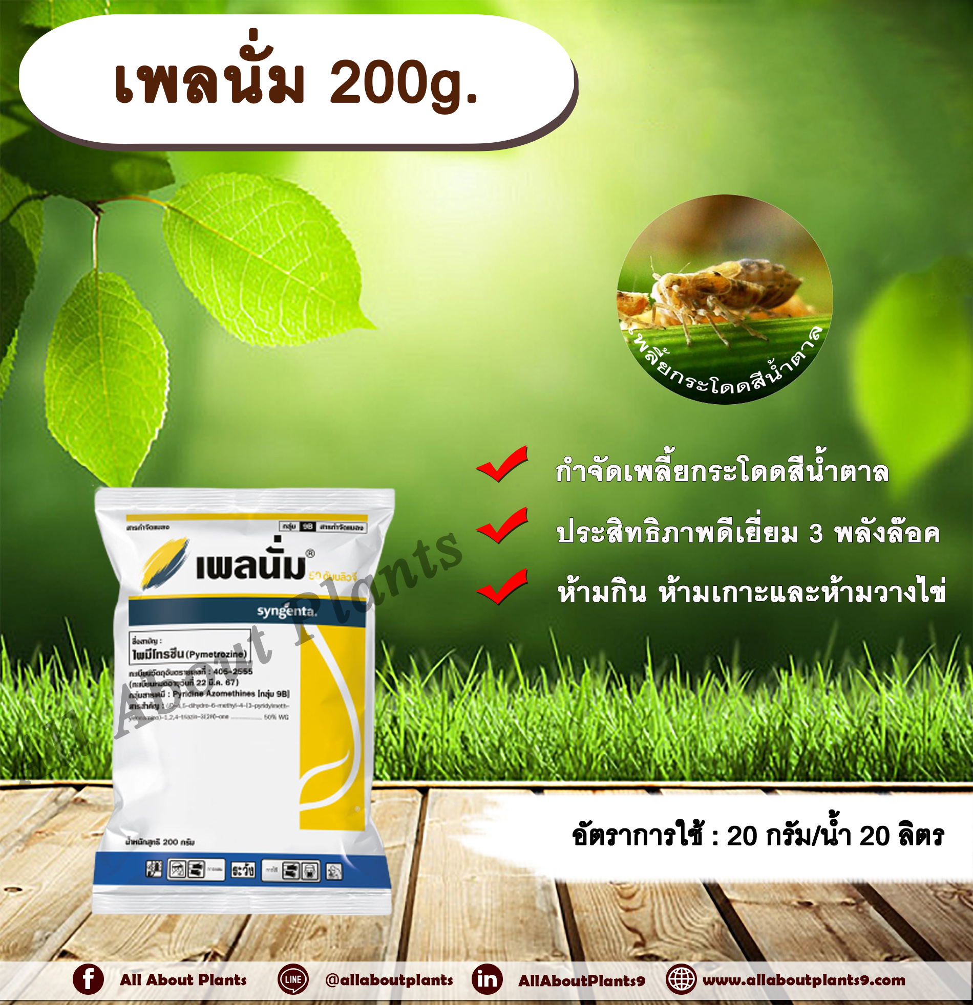 เพลนั่ม 200g. ไพมีโทรซีน สารกำจัดแมลง เพลี้ยกระโดดสีน้ำตาล กำจัดเพลี้ย เพลี้ยกระโดดในนาข้าว ซินเจนทา allaboutplants ชิ้น