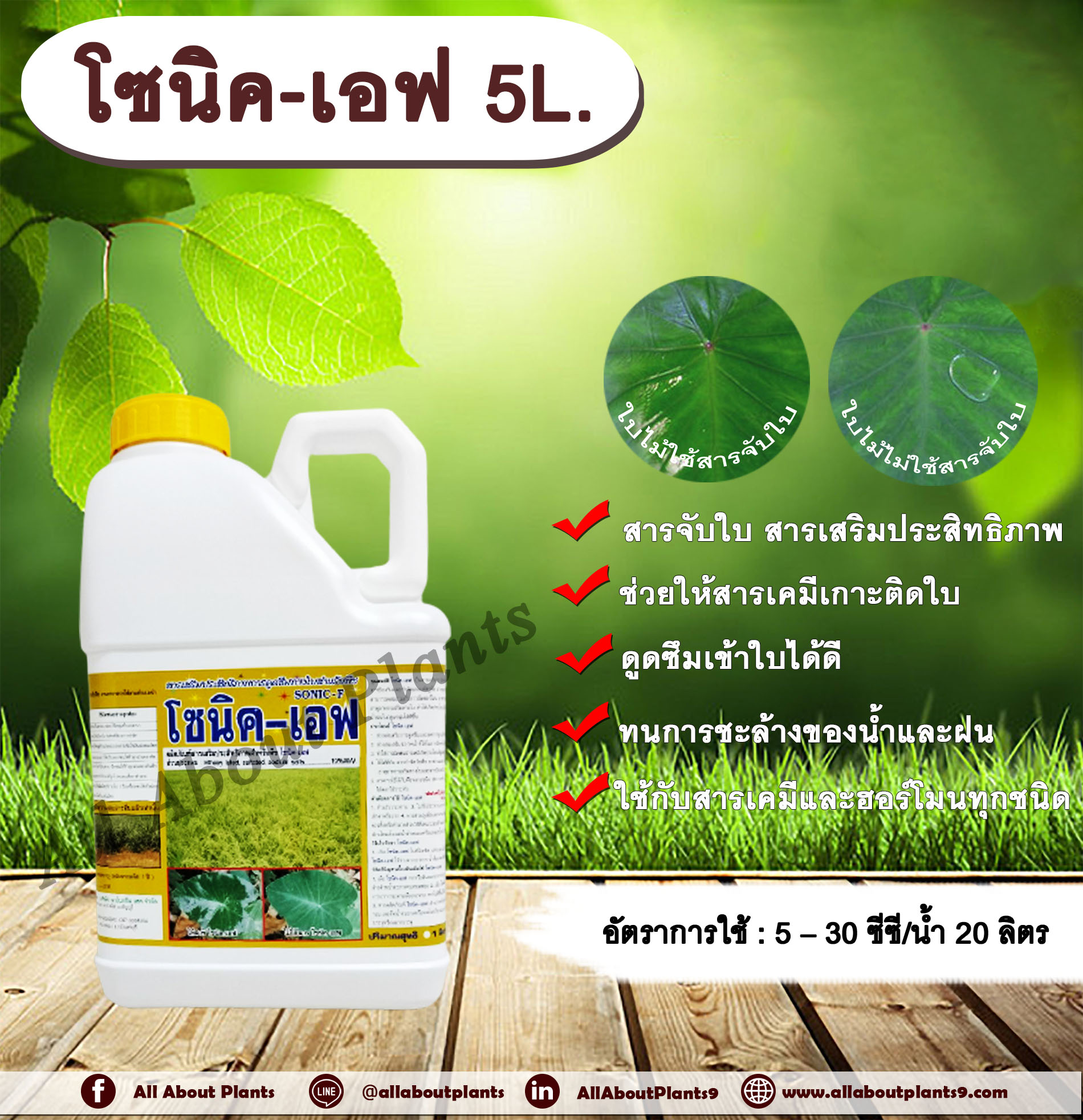 โซนิค เอฟ 5L. สารจับใบ สารเคลือบใบ สารเสริมประสิทธิภาพทางใบ สารเคมีเกาะติดใบพืช สารเคมีดูดซึมเข้าใบพืช allaboutplants กระติก