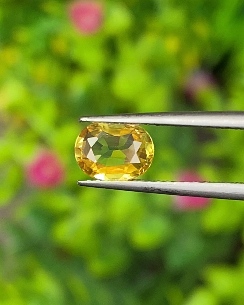พลอย บุษราคัม Yellow Sapphire 0.95 กะรัต (Cts.) พลอยแท้ อัญมณีมงคลประจําวันเกิด เครื่องประดับพลอย