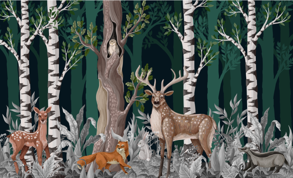 Wallpaper Digital Printing TR24051