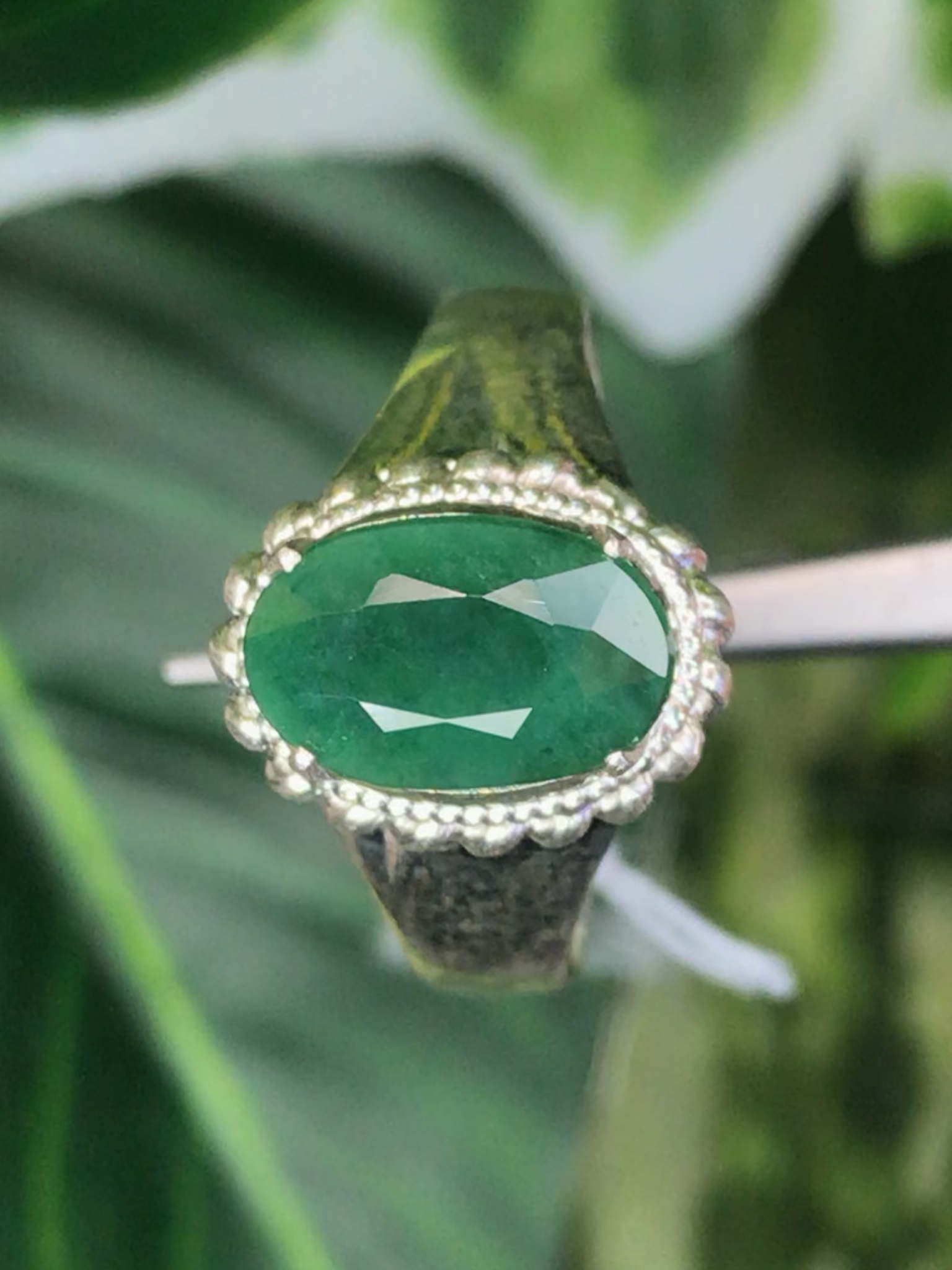 หยก พม่า แท้ Jade แหวนหยก 翡翠戒指 (Jadeite ring) ดิบ (Size) 55 ไม่ผ่านการปรับปรุง (Type A) พม่า (Myanmar)