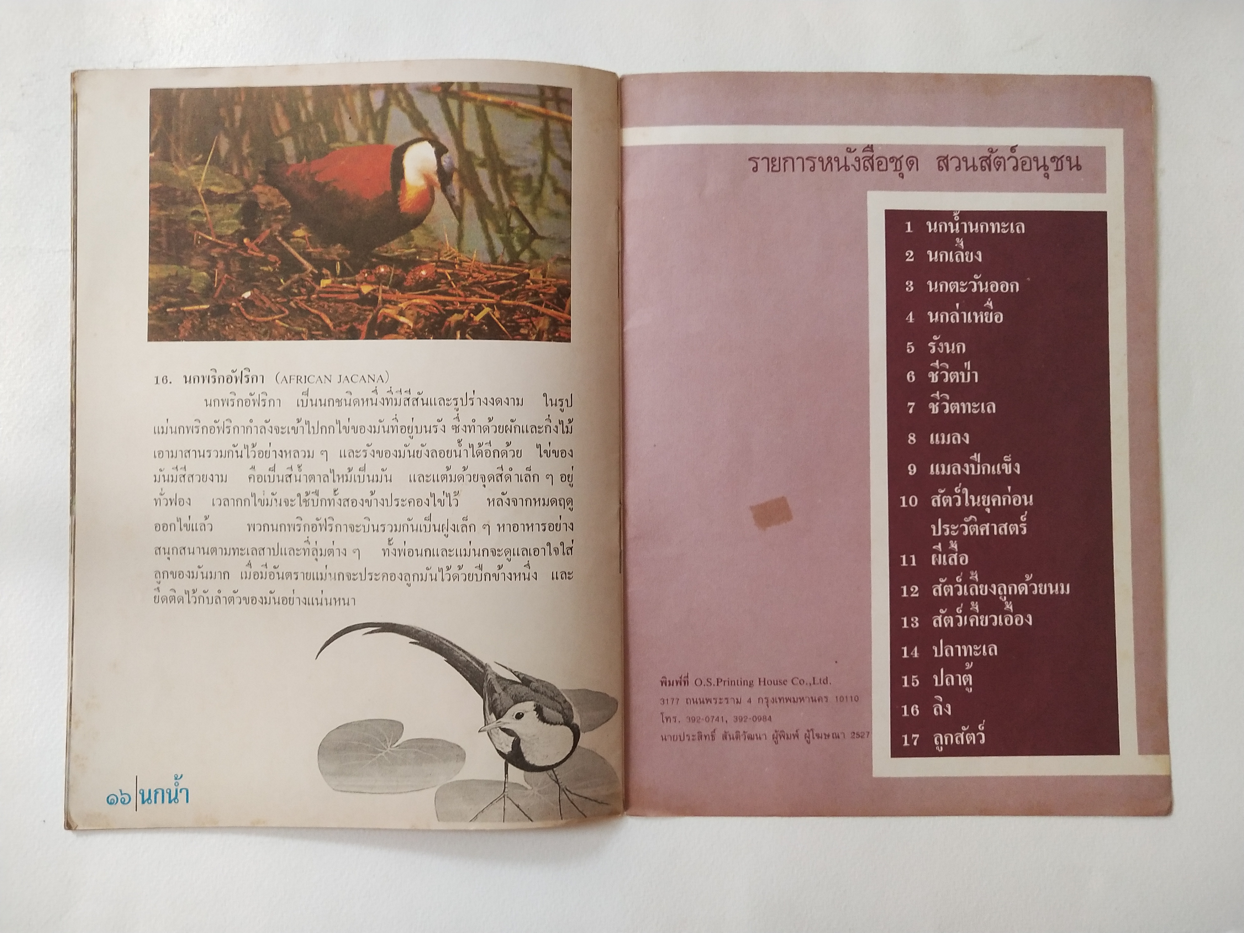 หนังสือเก่าเก็บ ชุดสวนสัตว์อนุชน ,นกน้ำนกทะเล หนังสือเก่า ปีที่พิมพ์ 2527 ราคาปก 60 บาท