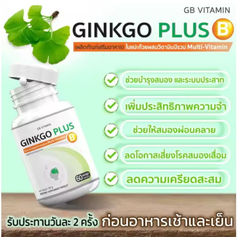 5 PV. GB Ginkgo Plus-B อาหารเสริม ใบแปะก๊วยผสมวิตามินบีรวม สารสกัดใบแปะก๊วย 60 แคปซูล