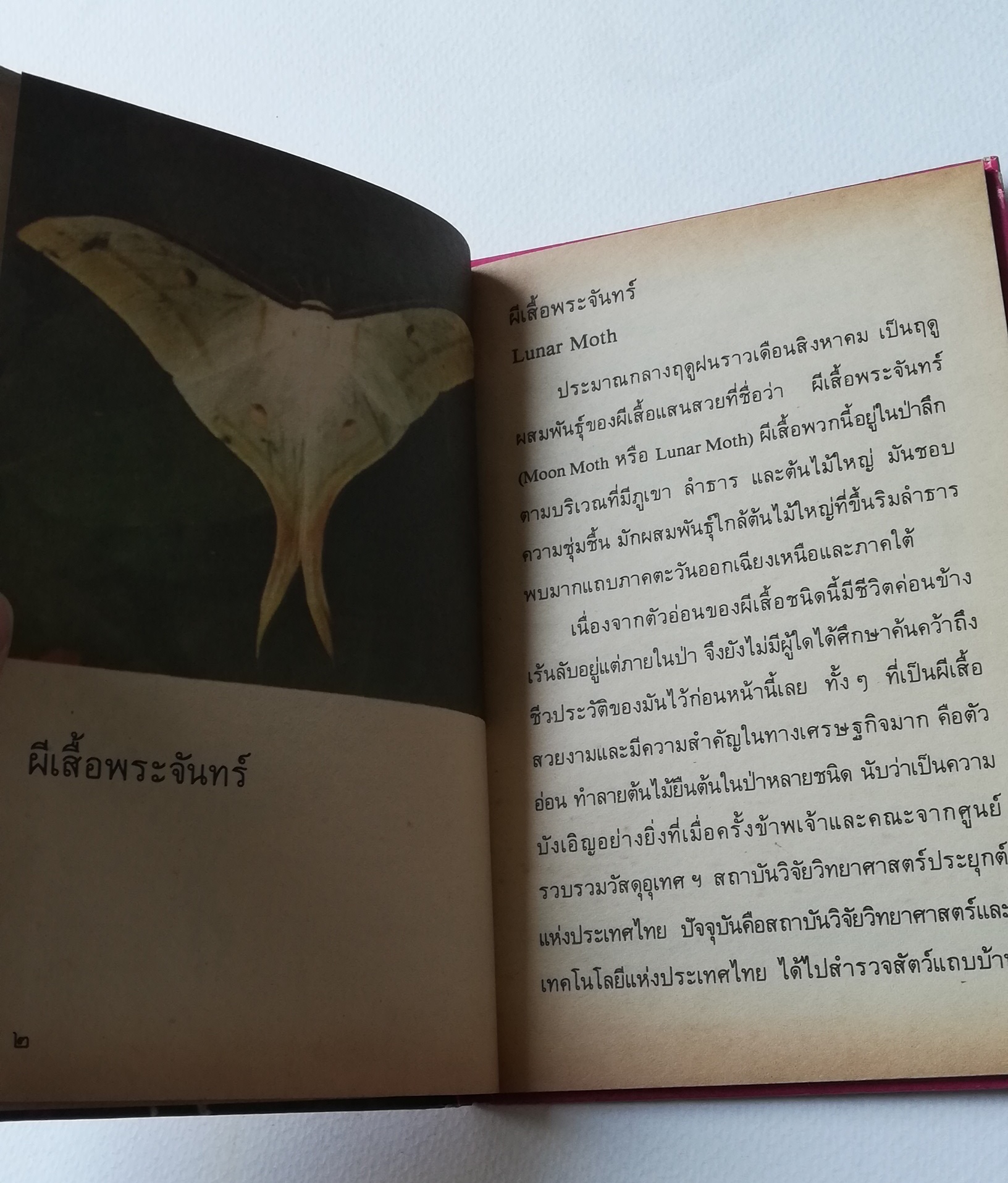 มีหลายภาพ, หน้าแรกมีตำหนิ ตามภาพ หนังสือเล่มเล็ก หนังสือชุดความรู้ไทยขององค์การค้าคุรุสภา ,ผีเสื้อแสนสวย พิมพ์ครั้งที่ 2 ปี 2527