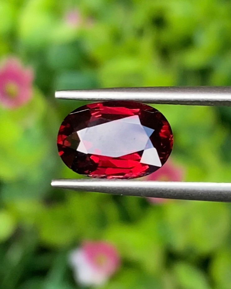 พลอย โรโดไลต์ กาเน็ท Rhodolite Garnet 3.00 กะรัต Cts.พลอยแท้ อัญมณีมงคลประจําวันเกิด เครื่องประดับพลอย