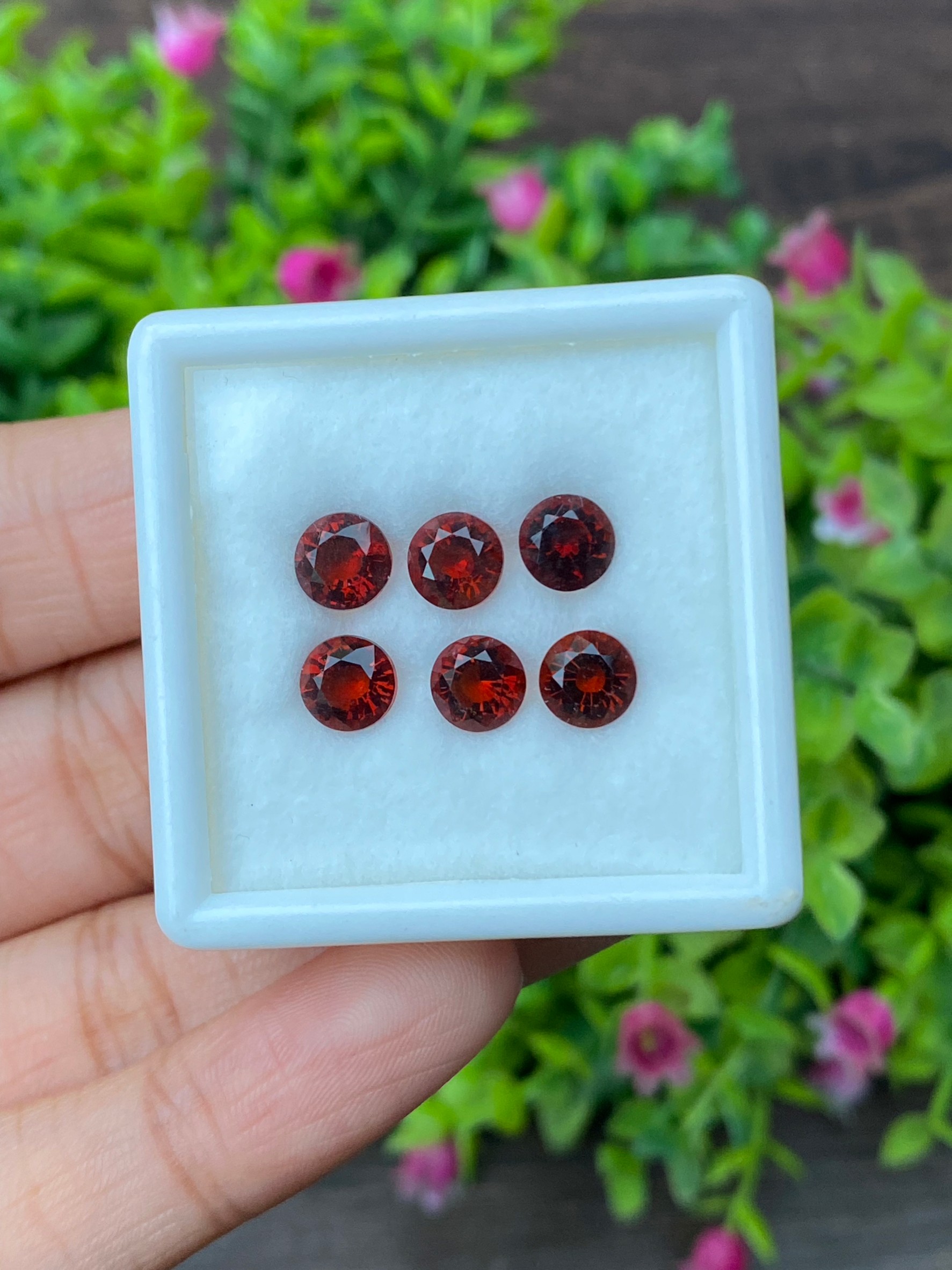 พลอย ซิทริน Citrine 4.87 กะรัต(Cts.) 6 เม็ด Pcs. พลอยแท้ อัญมณีมงคลประจําวันเกิด เครื่องประดับพลอย