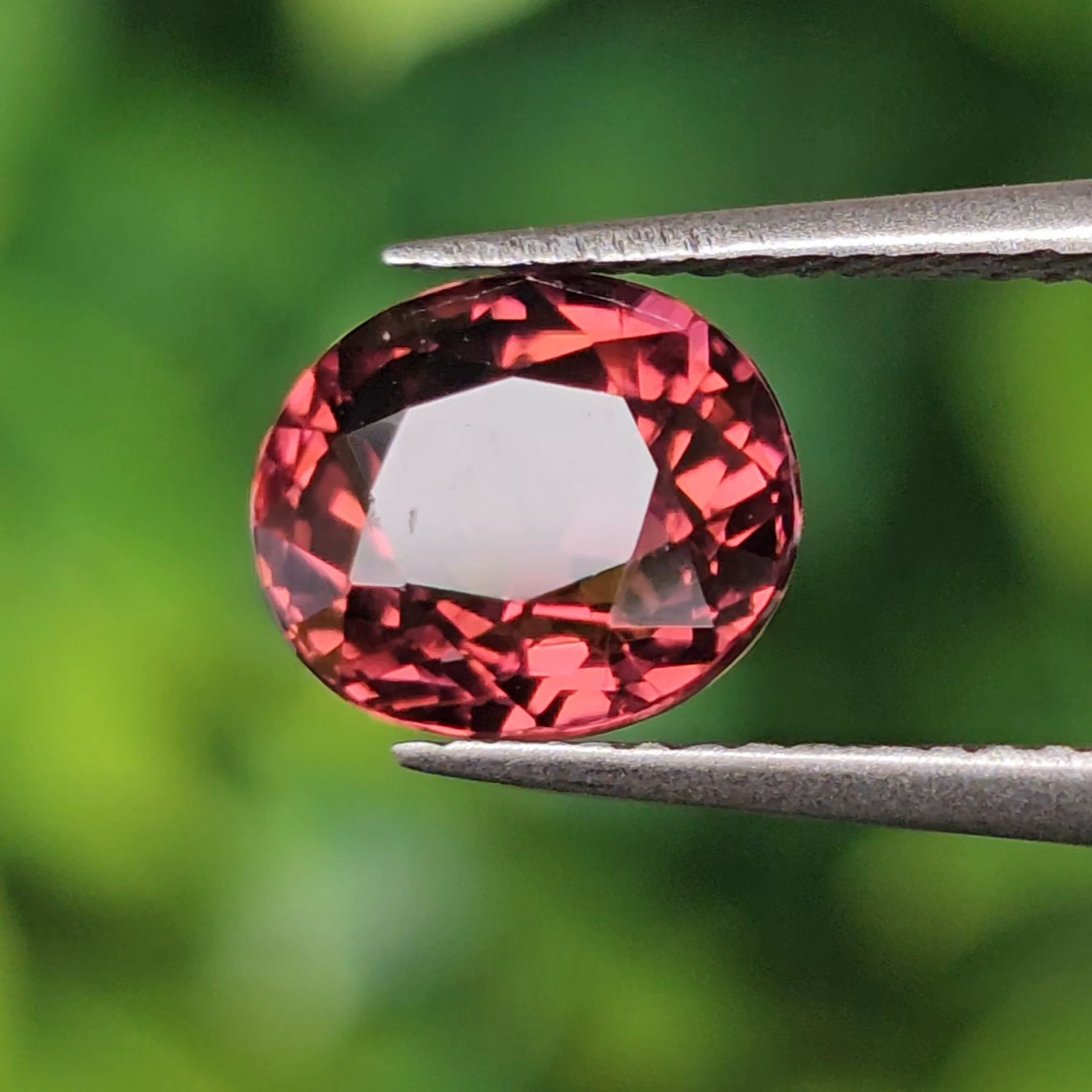 พลอย รูเบลไลต์ ทัวร์มาลีน Rubelite Tourmaline 1.52 กะรัต (Cts.) พลอยแท้ อัญมณีมงคลประจําวันเกิด เครื่องประดับพลอย