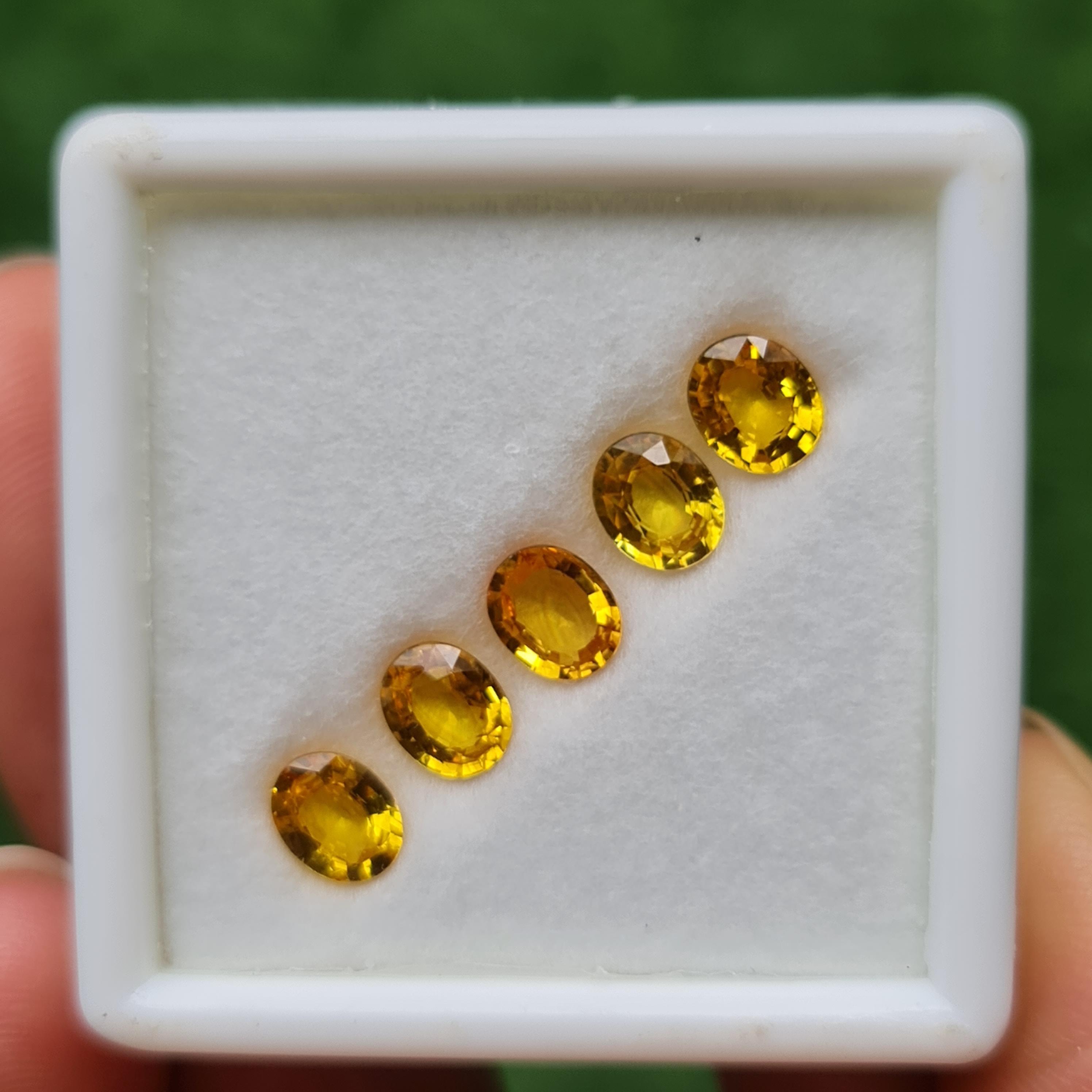 พลอย บุษราคัม yellow sapphire 3.57 กะรัต (Cts.) 5 เม็ด (Pcs.) พลอยแท้ อัญมณีมงคลประจําวันเกิด เครื่องประดับพลอย