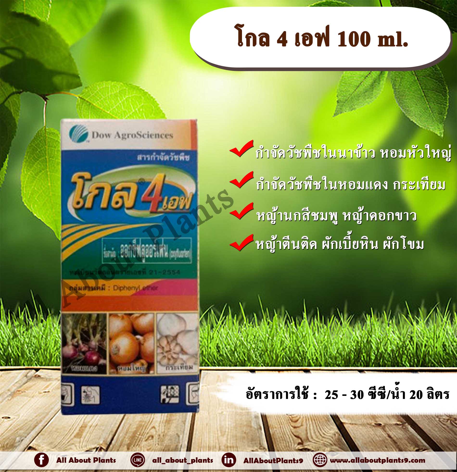 โกล 4 เอฟ 100ml. ออกซีฟลูออร์เฟน สารกำจัดหญ้าในหอมแดง หอมใหญ่ กระเทียม นาข้าว กำจัดวัชพืชขวด allaboutplants ขวด