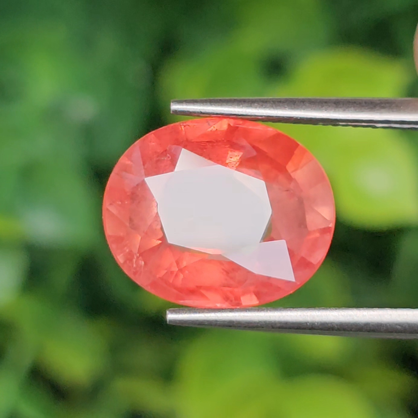 พลอย ออเรนจ์ แซฟไฟร์ Orange Sapphire 6.29 กะรัต (Cts.) พลอยแท้ อัญมณีมงคลประจําวันเกิด เครื่องประดับพลอย