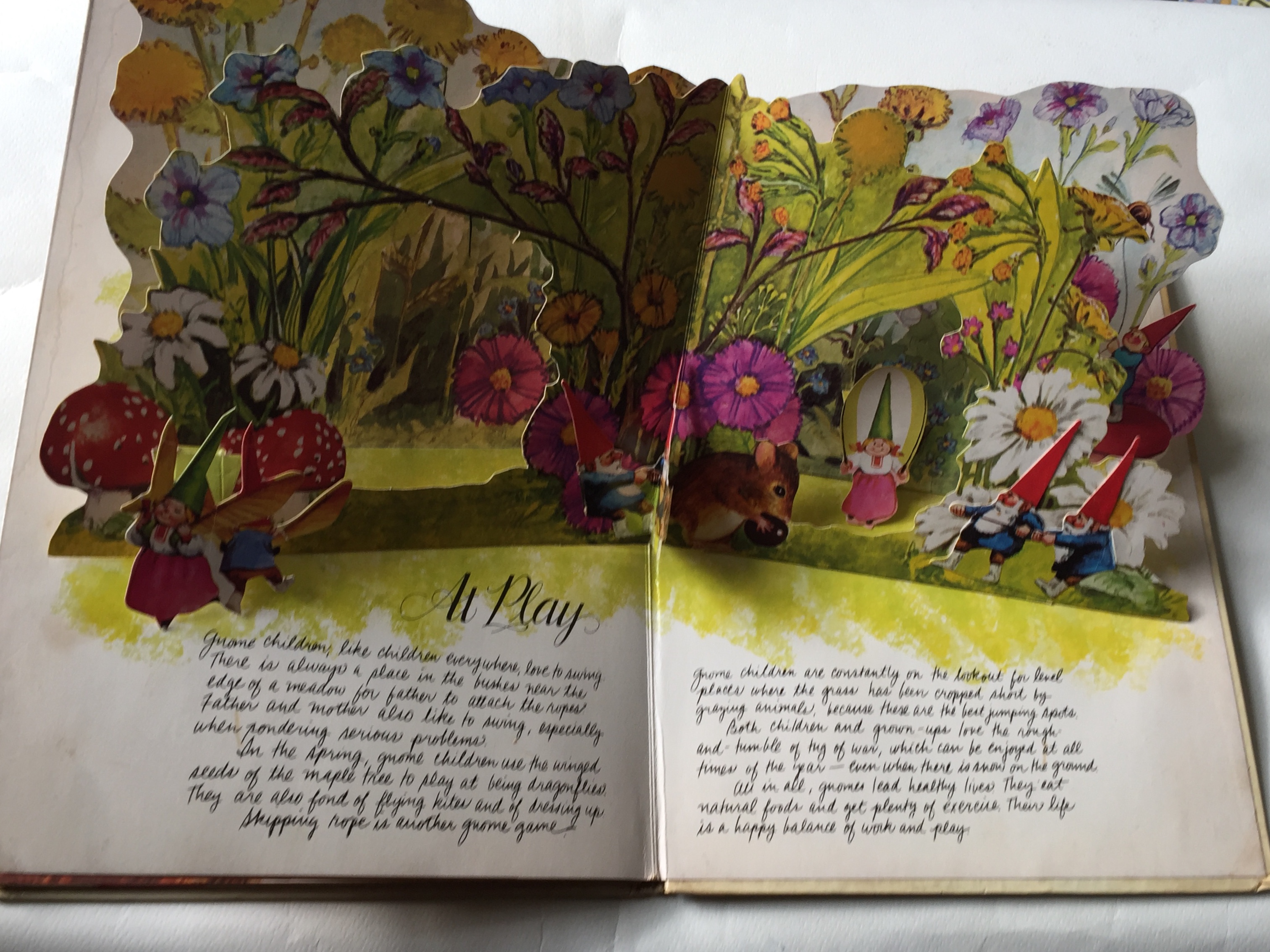 หนังสือภาพเก่าปกแข็ง ฉบับภาษาอังกฤษ pop up Book of Gnomes ** มีตำหนิ โปรดตรวจสอบทุกภาพ,Art Director: Chuck Murphy Designer : John stresan Paper Engineer : Tor Lokvig Handwriting: Diane Kosowski @1979 Harry N.Abrams,Ine. Adapted from GNOMES by Rien Poortvl