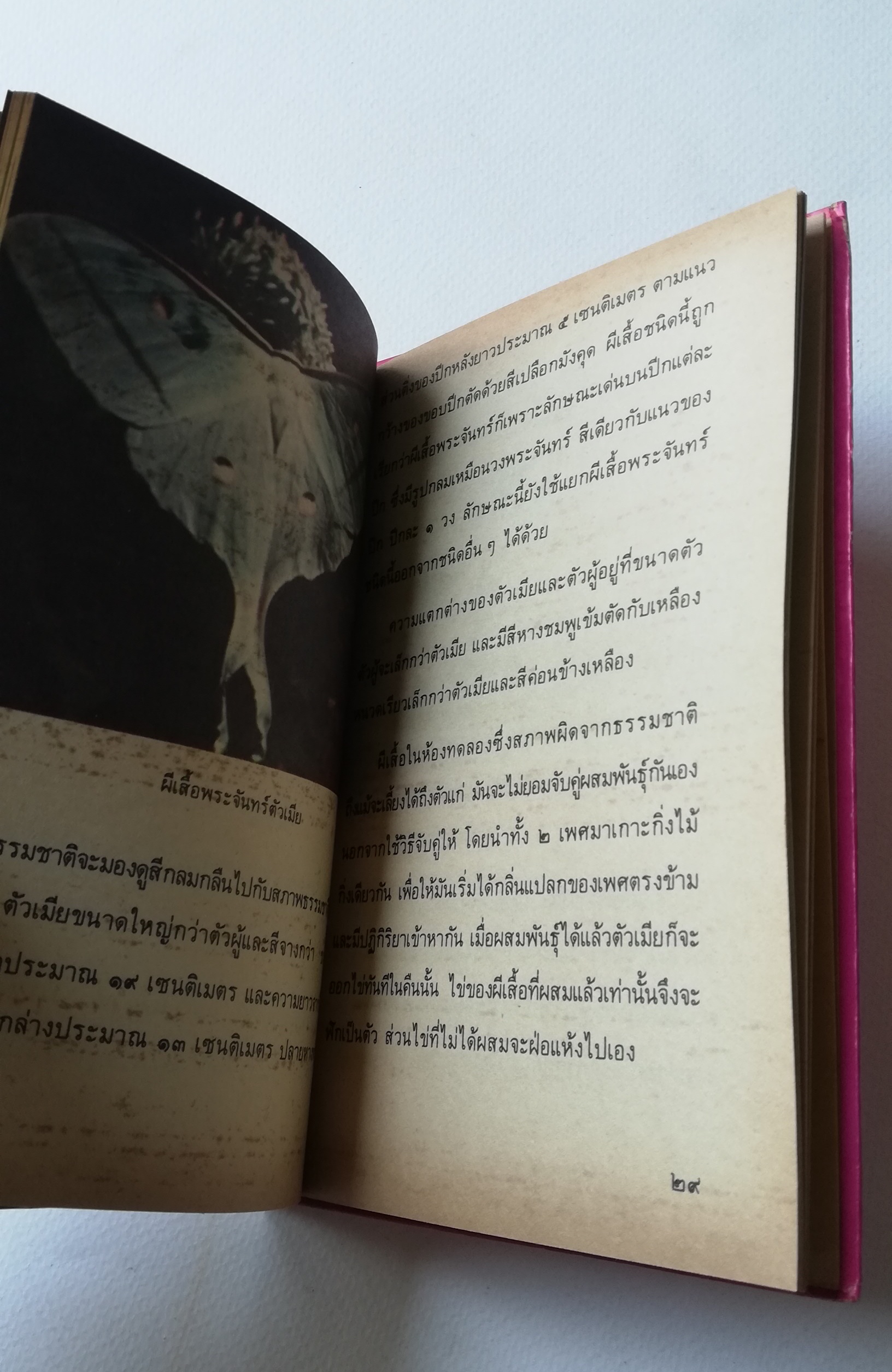 มีหลายภาพ, หน้าแรกมีตำหนิ ตามภาพ หนังสือเล่มเล็ก หนังสือชุดความรู้ไทยขององค์การค้าคุรุสภา ,ผีเสื้อแสนสวย พิมพ์ครั้งที่ 2 ปี 2527