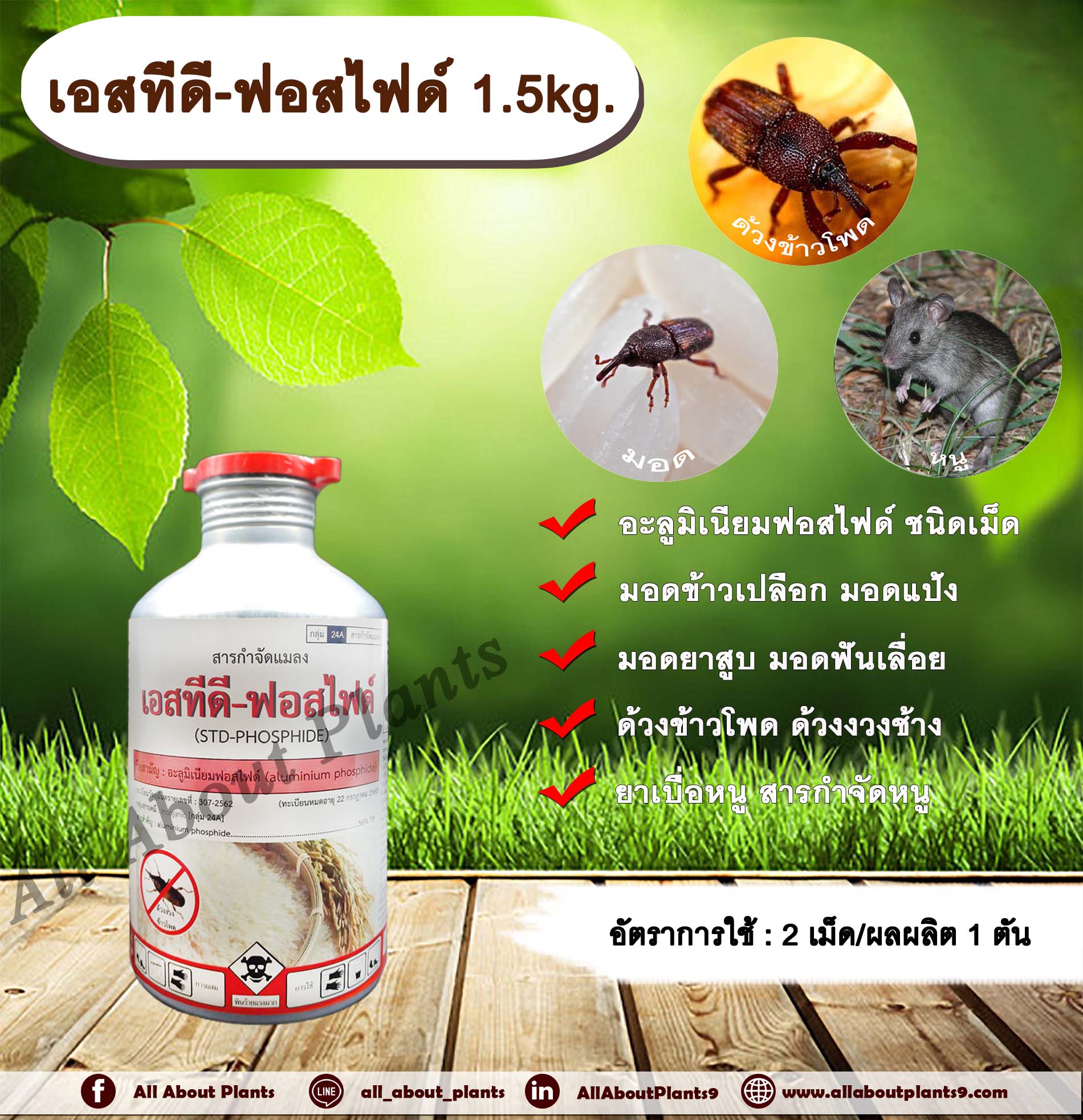 เอสทีดี-ฟอสไฟด์ 1.5kg. อะลูมิเนียมฟอสไฟด์ ชนิดเม็ด สารรมข้าวสาร ข้าวเปลือก แป้ง ข้าวโพด เมล็ดพันธุ์ต่างๆ สารกำจัดหนู ชิ้น