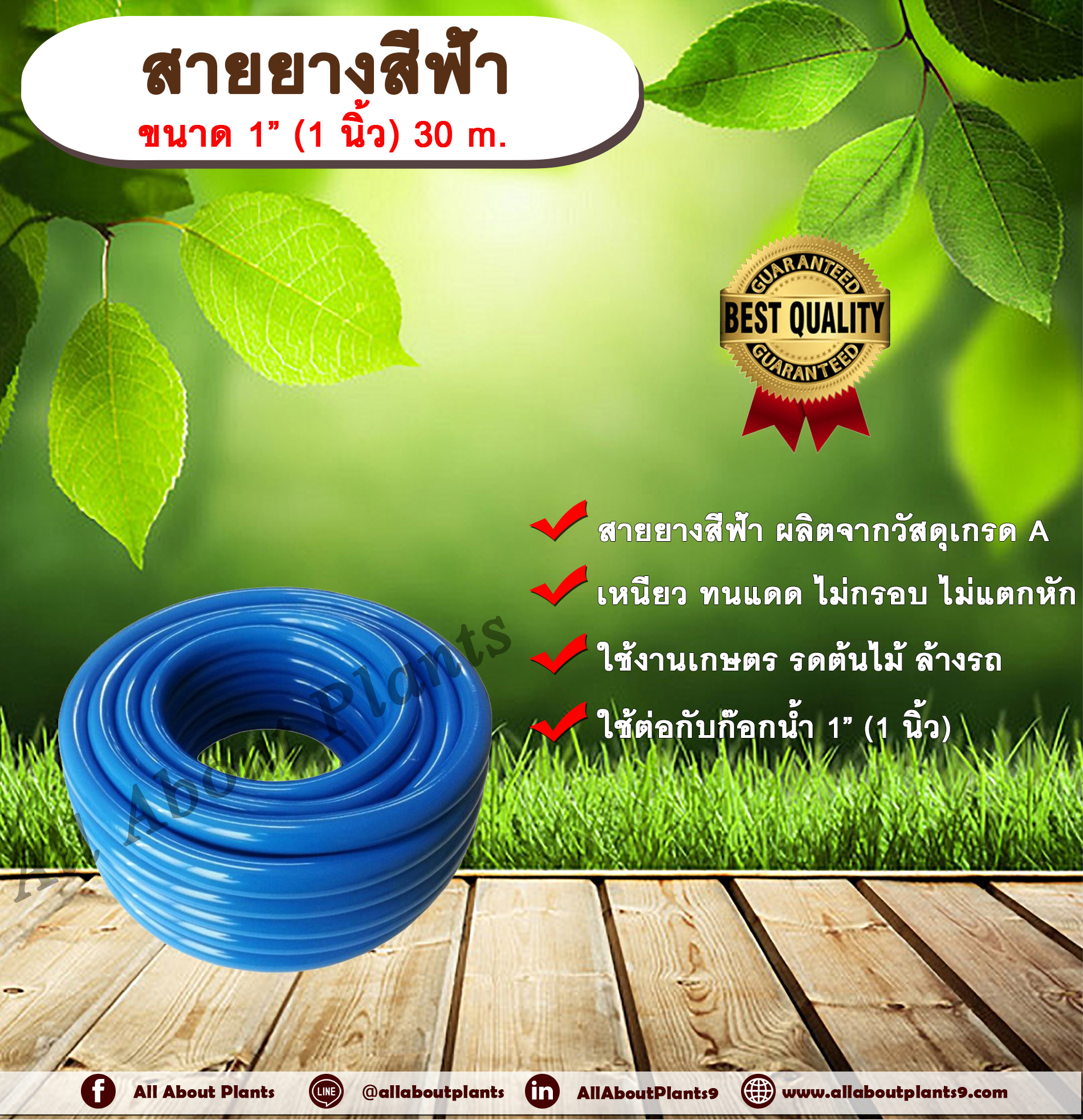 สายยางสีฟ้า ขนาด 1” (1 นิ้ว) 30 m.สายยางรดน้ำ สายยางล้างรถ สายยางเขียว สายยาง 1 นิ้ว สายยางรดต้นไม้ สายยางรดน้ำต้นไม้ ชิ้น