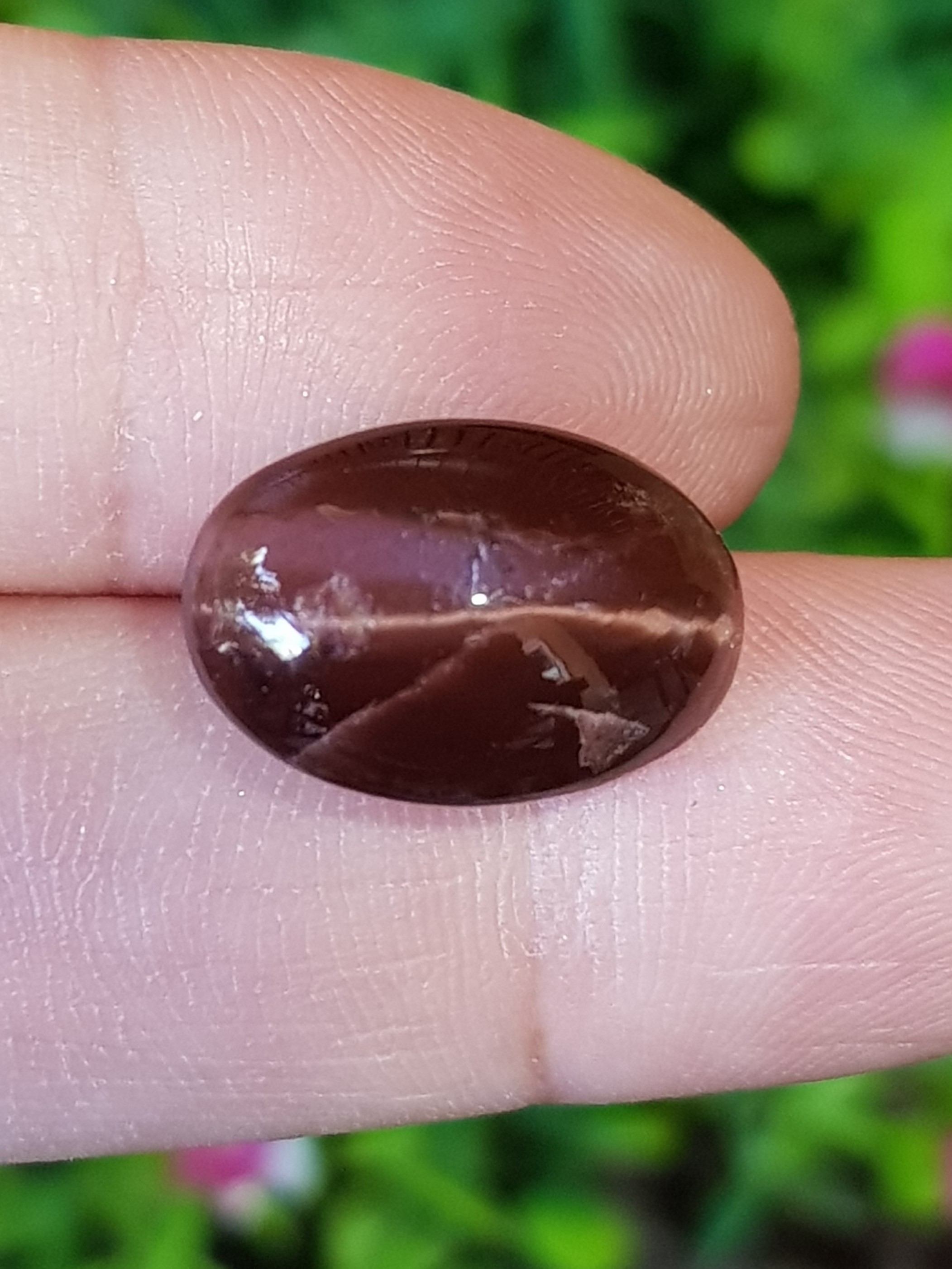 พลอย ตาแมว สแคปโพไลท์ Cat eye Scapolite 9.15 กะรัต (Cts.) พลอยแท้ อัญมณีมงคลประจําวันเกิด เครื่องประดับพลอย