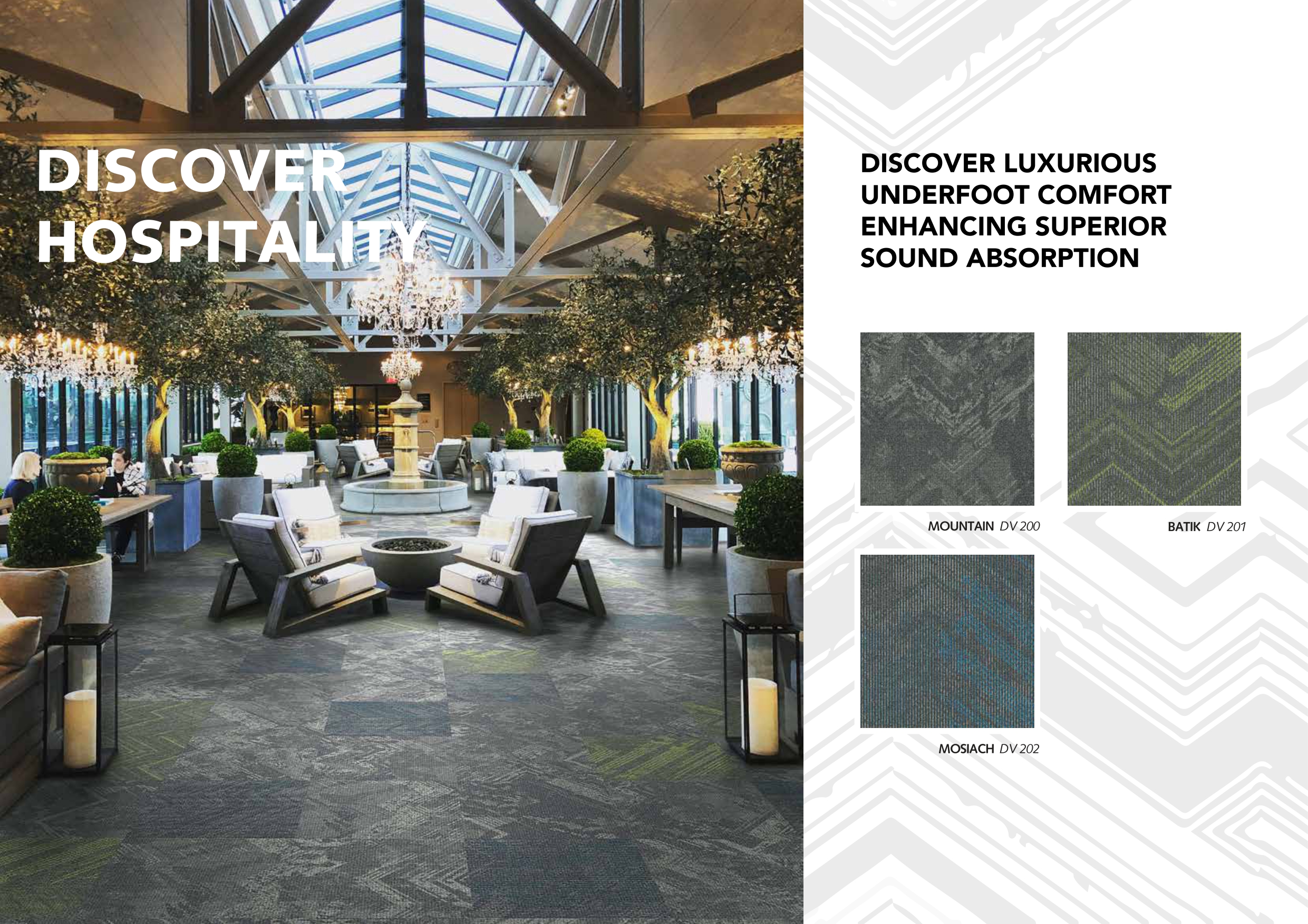 DISCOVER DV102 Calligraphy