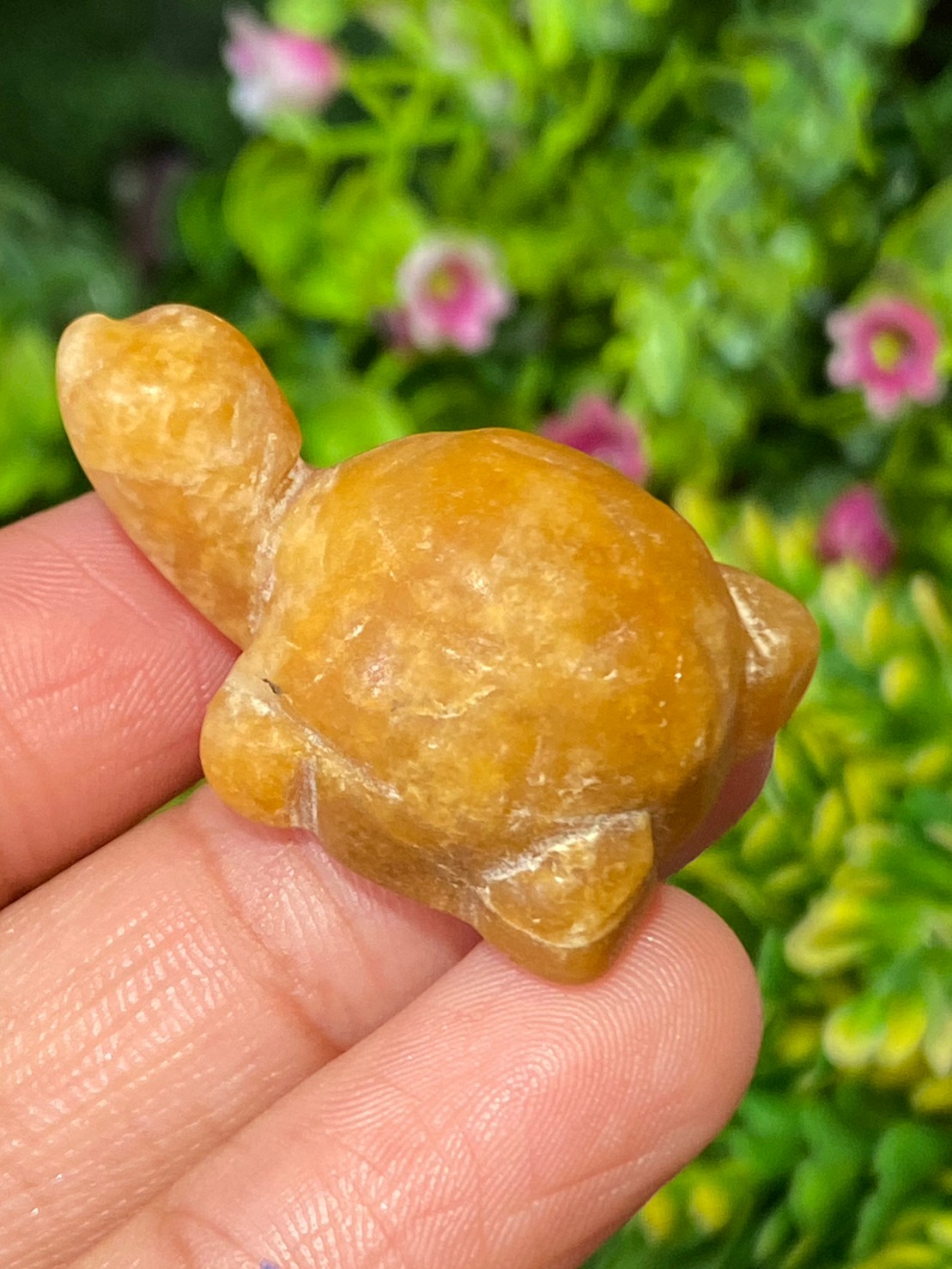 หยกแกะสลัก เต่า หยก พม่า แท้ (Burmese jadeite)