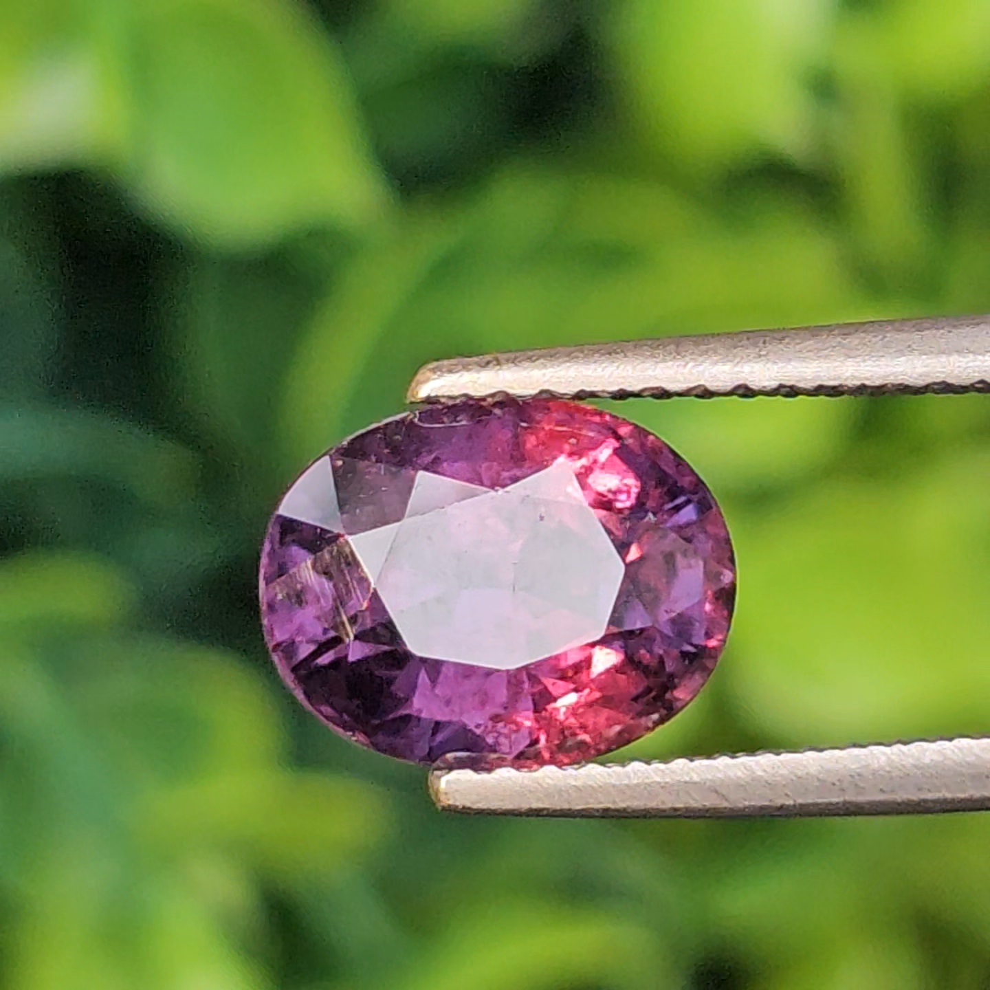 พลอย คัลเลอร์เชนจ์ แซฟไฟร์ Color Change Sapphire 3.40 กะรัต (Cts.) พลอยแท้ อัญมณีมงคลประจําวันเกิด เครื่องประดับพลอย