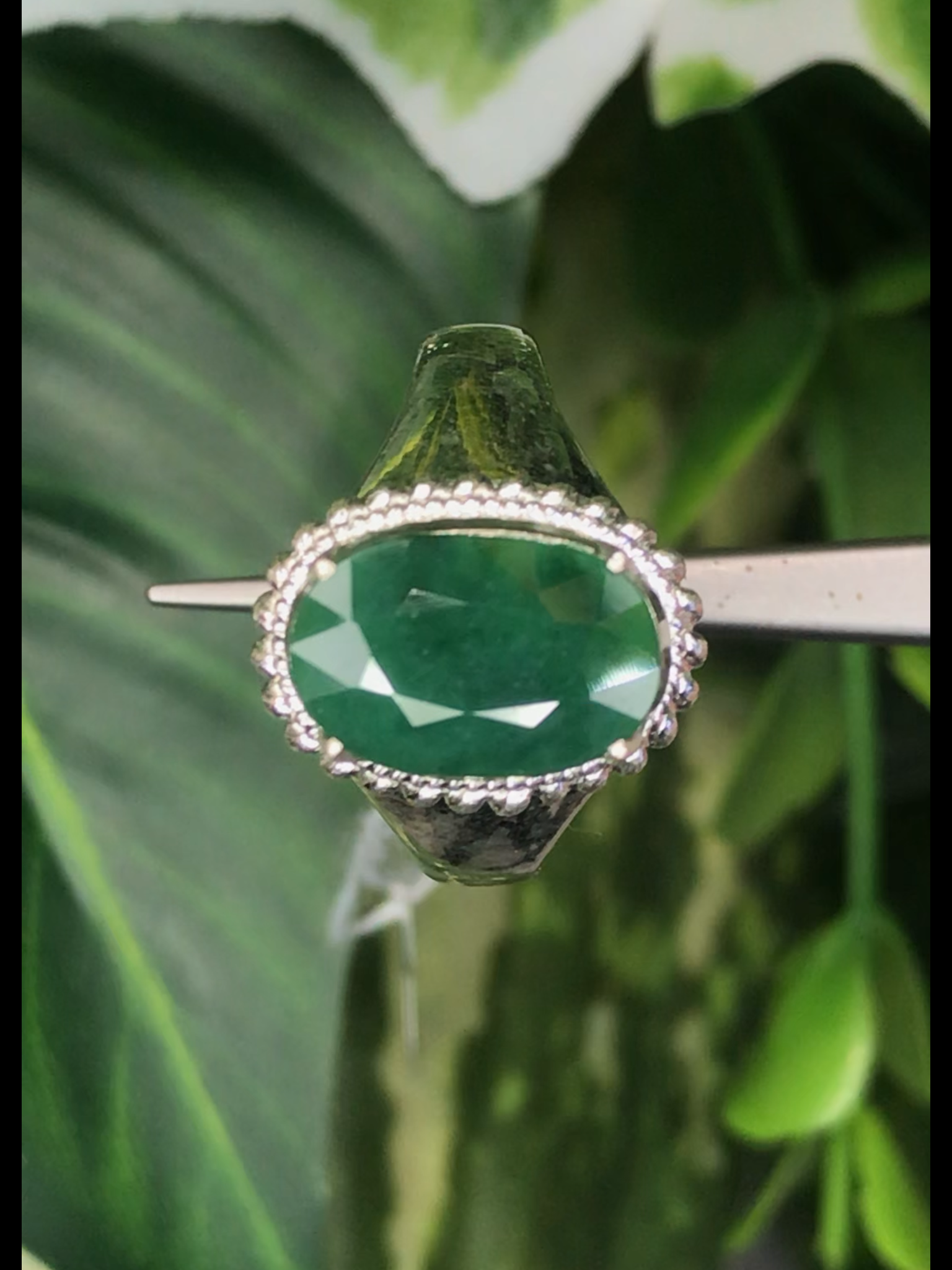 หยก พม่า แท้ Jade แหวนหยก 翡翠戒指 (Jadeite ring) ดิบ (Size) 56 ไม่ผ่านการปรับปรุง (Type A) พม่า (Myanmar)