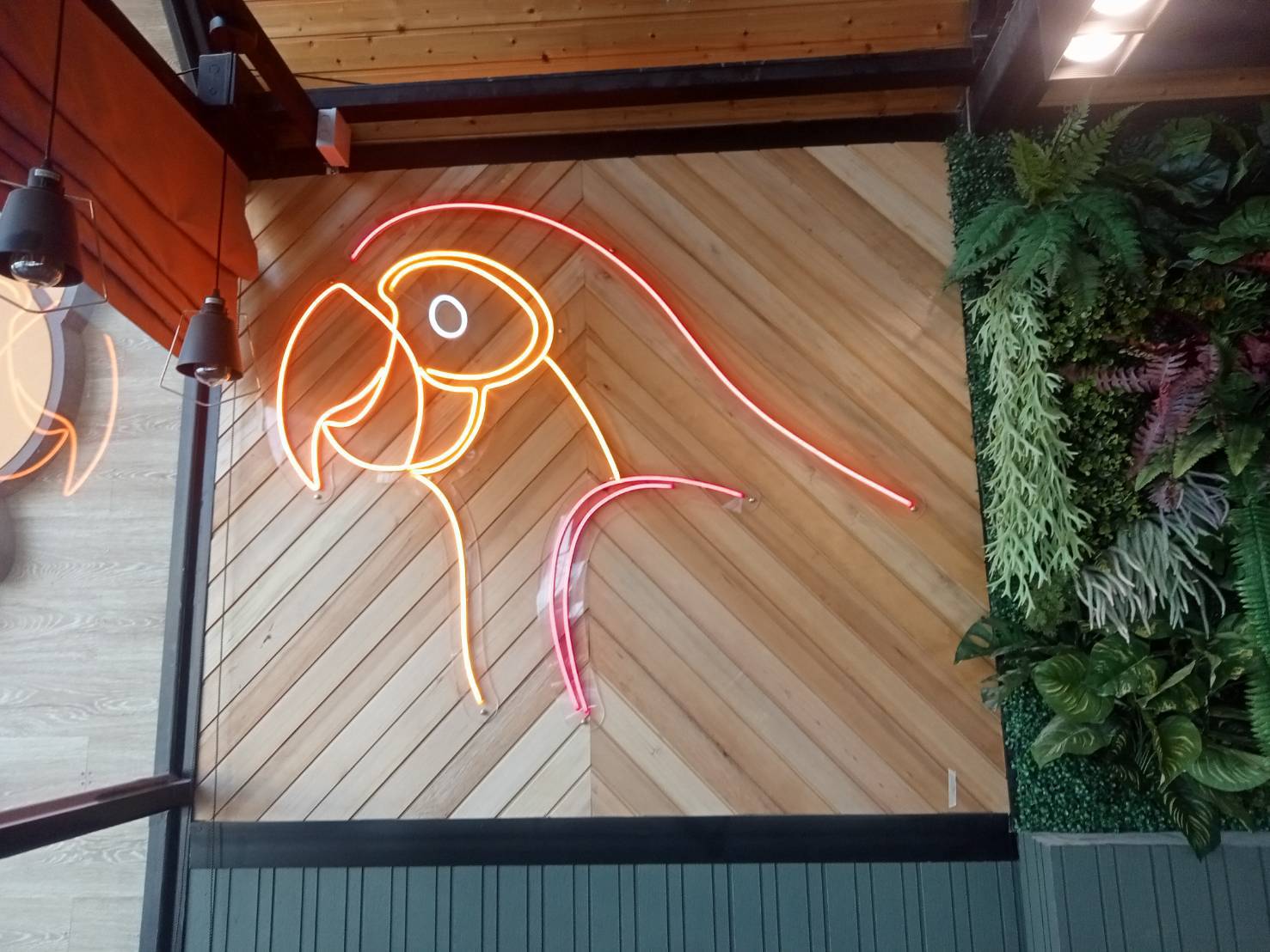 #ป้ายไฟนีออนดัดLEDรูปนกแก้ว