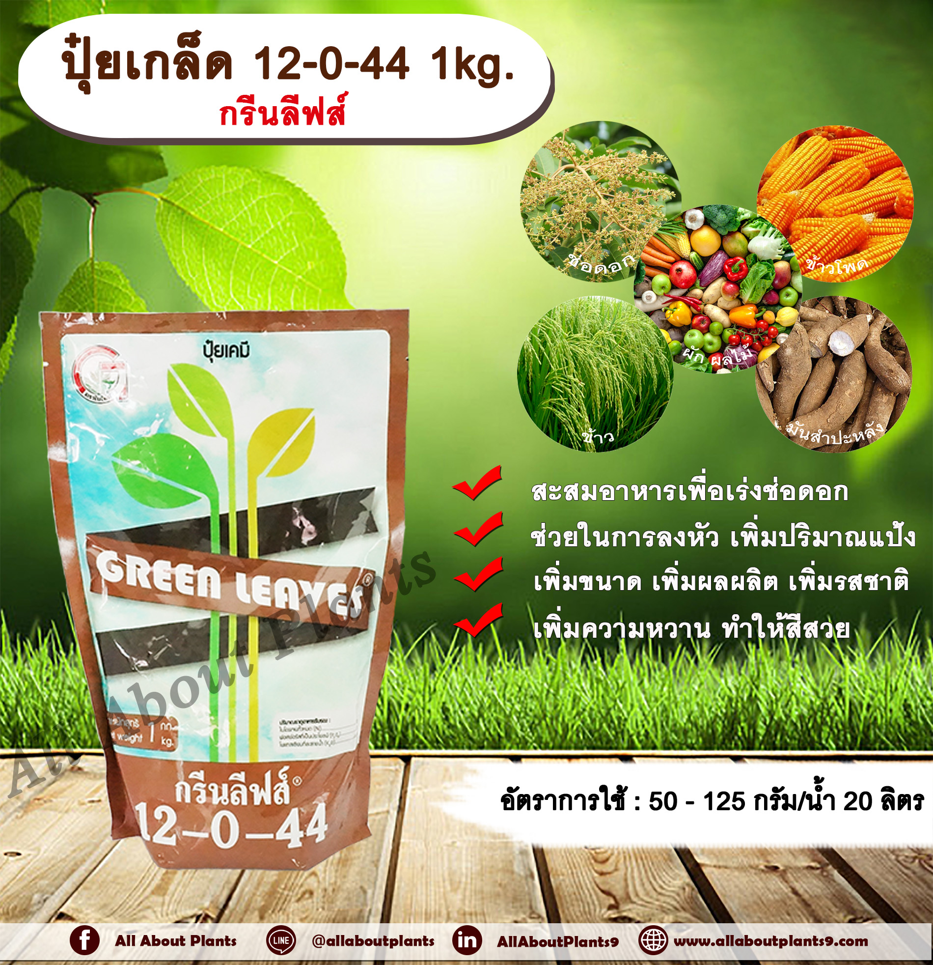ปุ๋ยเกล็ด 12-0-44 1kg. กรีนลีฟส์ สะสมอาหารเพื่อเร่งช่อดอก แตกตาดอก ลงหัว เพิ่มปริมาณแป้ง เพิ่มเปอร์เซ็นต์แป้ง เพิ่มขนาด เพิ่มผลผลิต เพิ่มรสชาติ เพิ่มความหวาน สีสวย ชิ้น