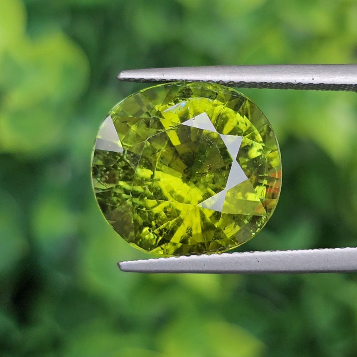 พลอย ทัวร์มาลีน Tourmaline 13.77 กะรัต (Cts.) พลอยแท้อัญมณีมงคล ประจําวันเกิด เครื่องประดับพลอย