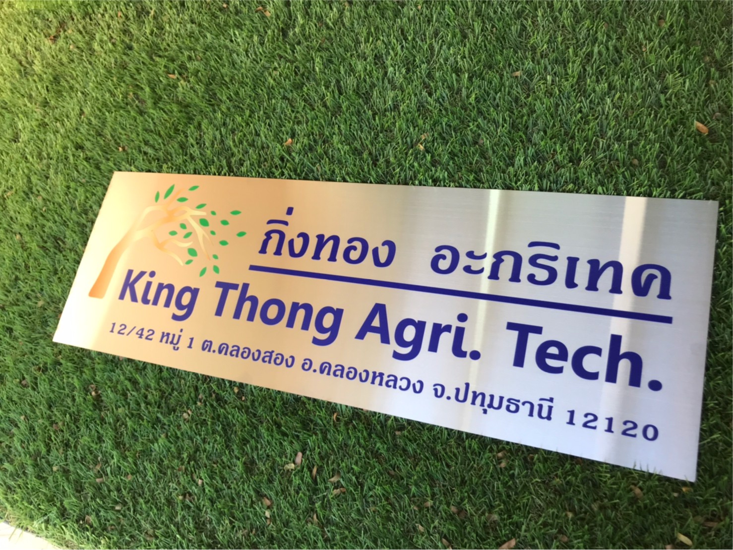ป้ายสกีน