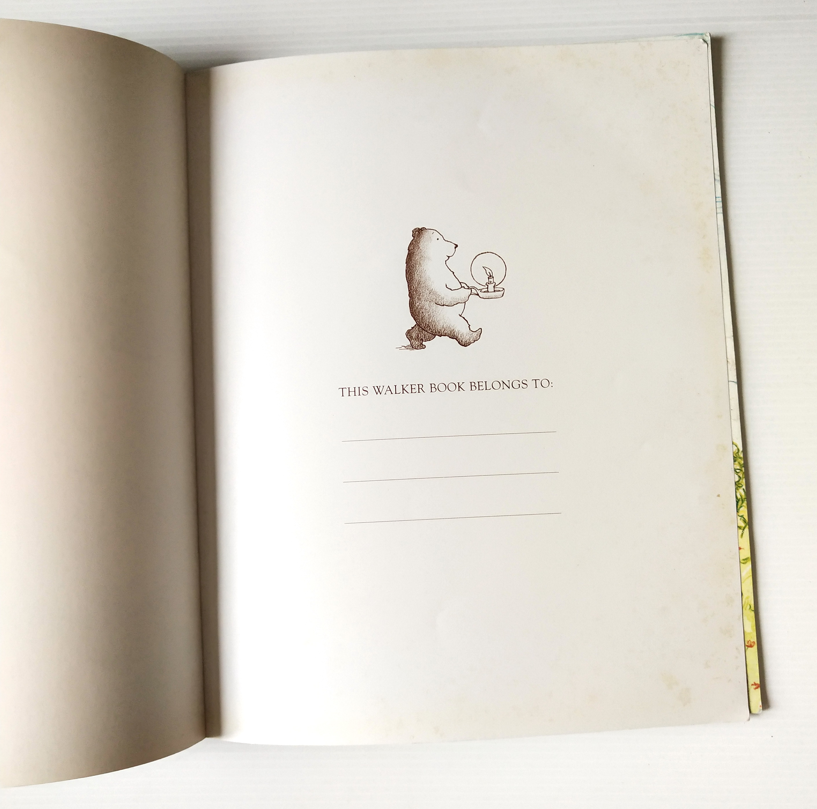 หนังสือนิทานฉบับภาษาอังกฤษ เรื่องราวของครอบครัวห่าน และห่านน้อย จาก SAM MCBRATNEY,"Just You and Me" ภาพโดย Ivan Bates