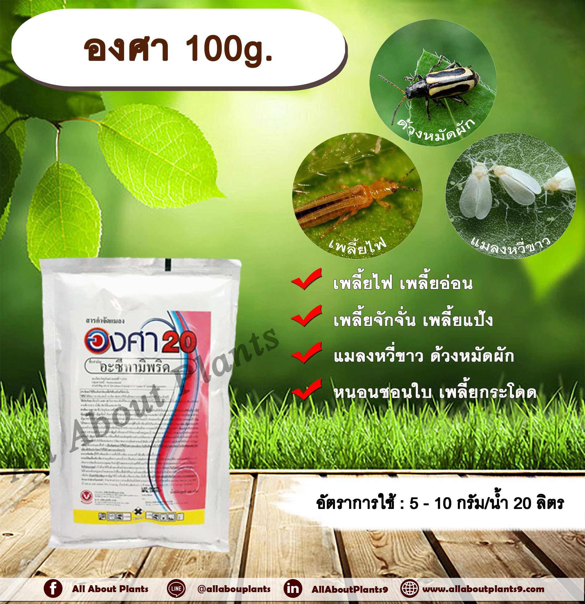 องศา 100g. อะซีทามิพริด อะเซทามิพริด สารกำจัดแมลง ดูดซึม กำจัด เพลี้ยไฟ แมลงหวี่ขาว ด้วงหมัดผัก เพลี้ยอ่อน เพลี้ยจักจั่น เพลี้ยแป้ง หนอนชอนใบ เพลี้ยกระโดด allaboutplants ชิ้น