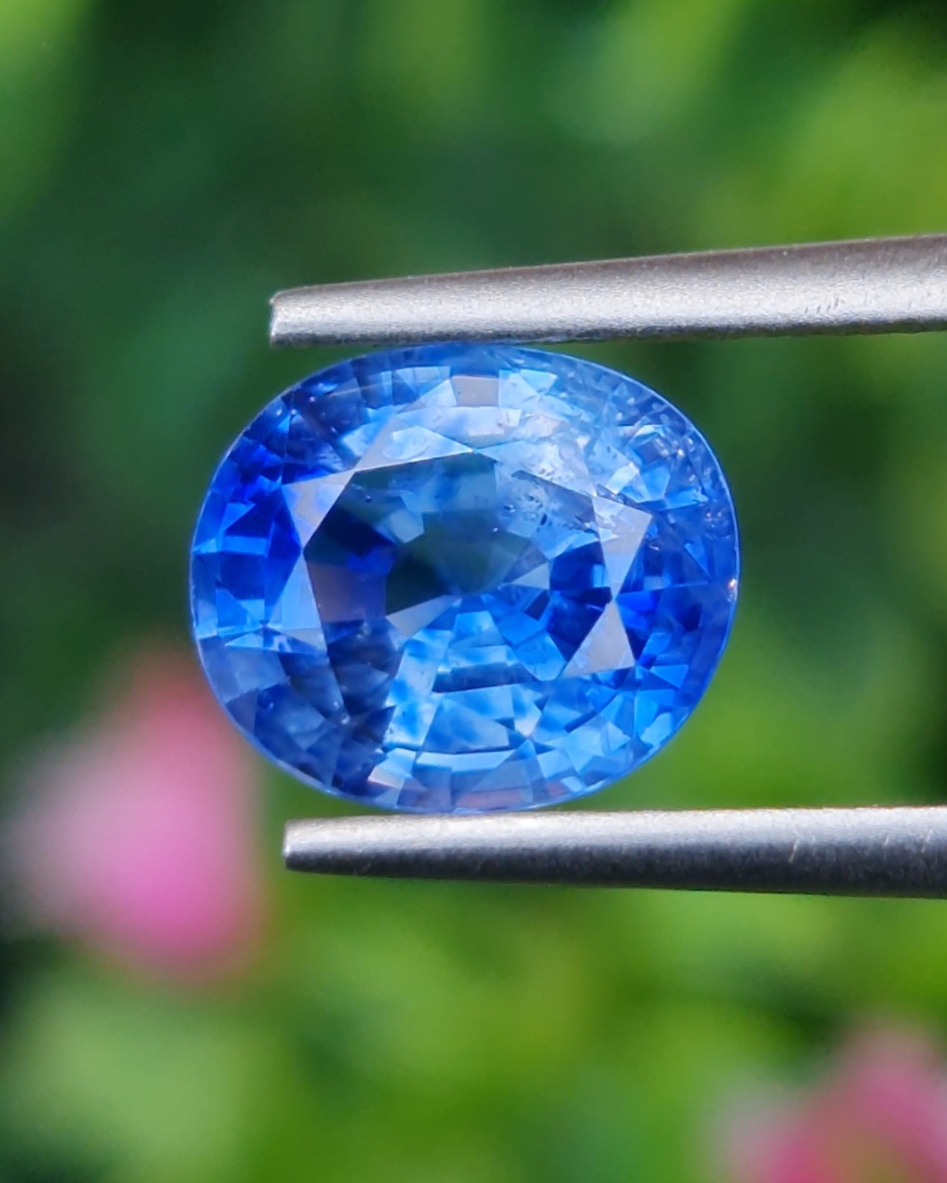 พลอย ไพลิน Blue Sapphire 2.48 กะรัต (Cts.) พร้อมใบเซอร์ พลอยแท้ อัญมณีมงคลประจําวันเกิด เครื่องประดับพลอย