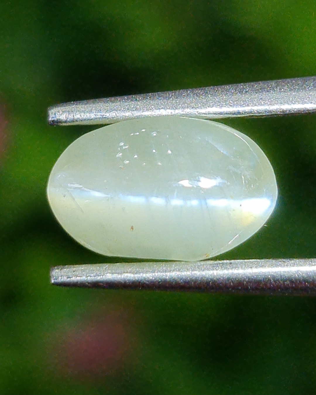 พลอย ตาแมว คริโซเบริล Cat eye Chrysoberyl 2.14 กะรัต (Cts.) พร้อมใบเซอร์ พลอยแท้ อัญมณีมงคลประจําวันเกิด เครื่องประดับพลอย
