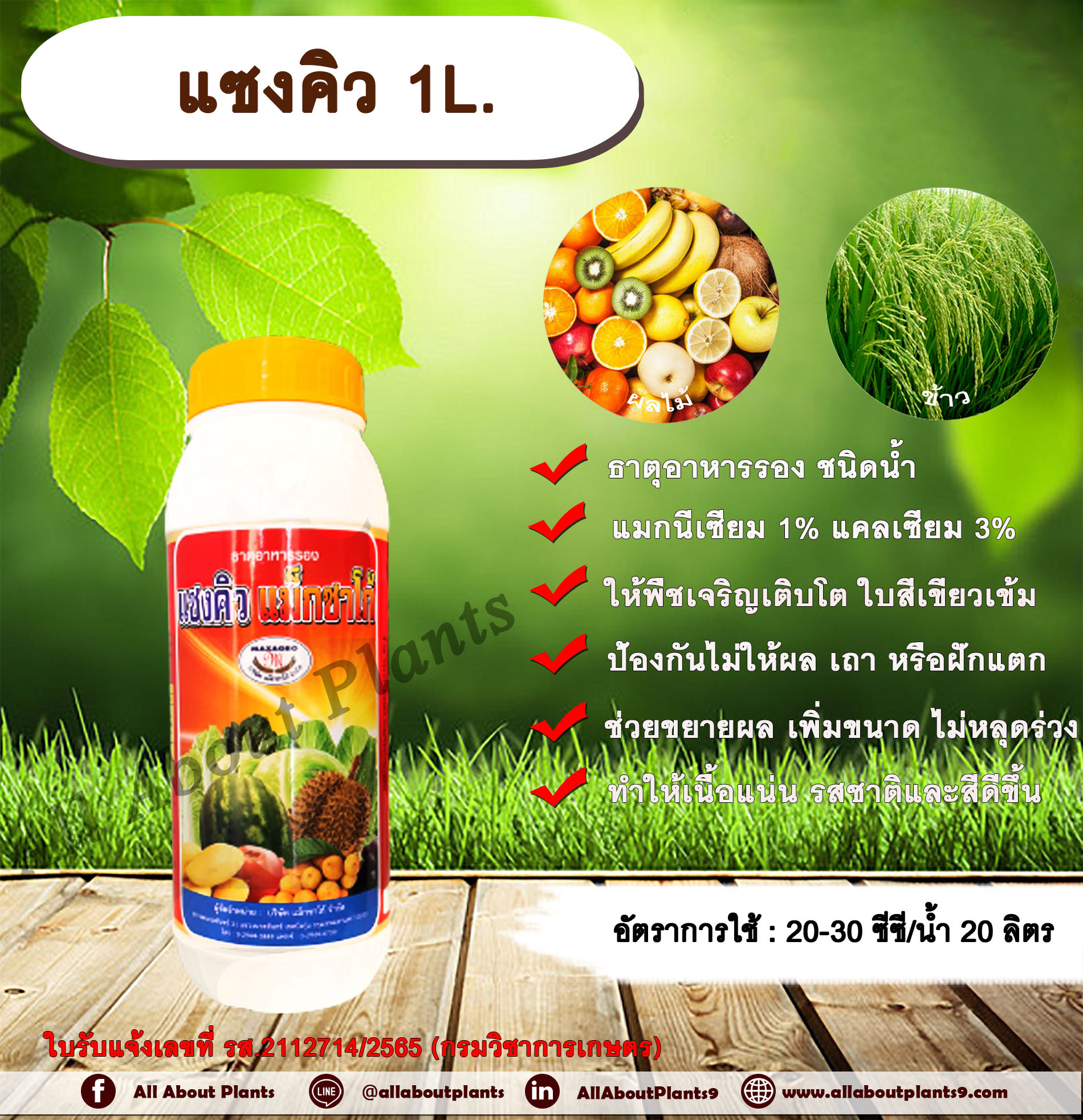 แซงคิว 1L. ธาตุอาหารรอง ธาตุอาหารเสริม ฮอร์โมนพืช ข้าวโตเร็ว พืชแตกตาดอกและตายอด ขายผล เพิ่มขนาด ทนต่ออากาศหนาว allaboutplants ชิ้น