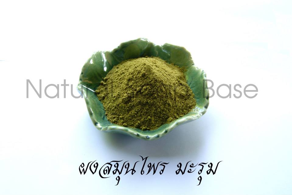 มะรุม (Moringa) บรรจุ 50 กรัม (ราคารวม Vat 7%)