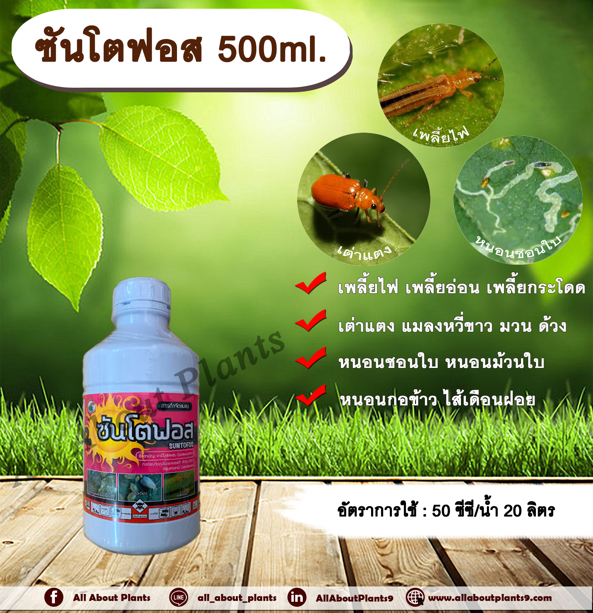 ซันโตฟอส 500ml. สารกำจัดแมลง คาร์โบซัลแฟน กำจัดเพลี้ยไฟ เพลี้ยอ่อน เพลี้ยกระโดด เต่าแตง แมลงหวี่ขาว กำจัดหนอน ดูดซึม allaboutplants ชิ้น