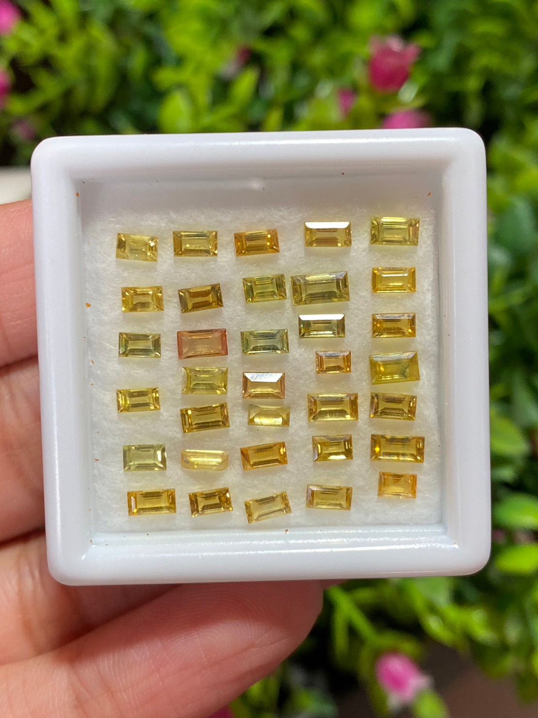 พลอย บุษราคัม yellow sapphire 7.03 กะรัต (Cts.) 34 เม็ด (Pcs.) พลอยแท้ อัญมณีมงคลประจําวันเกิด เครื่องประดับพลอย