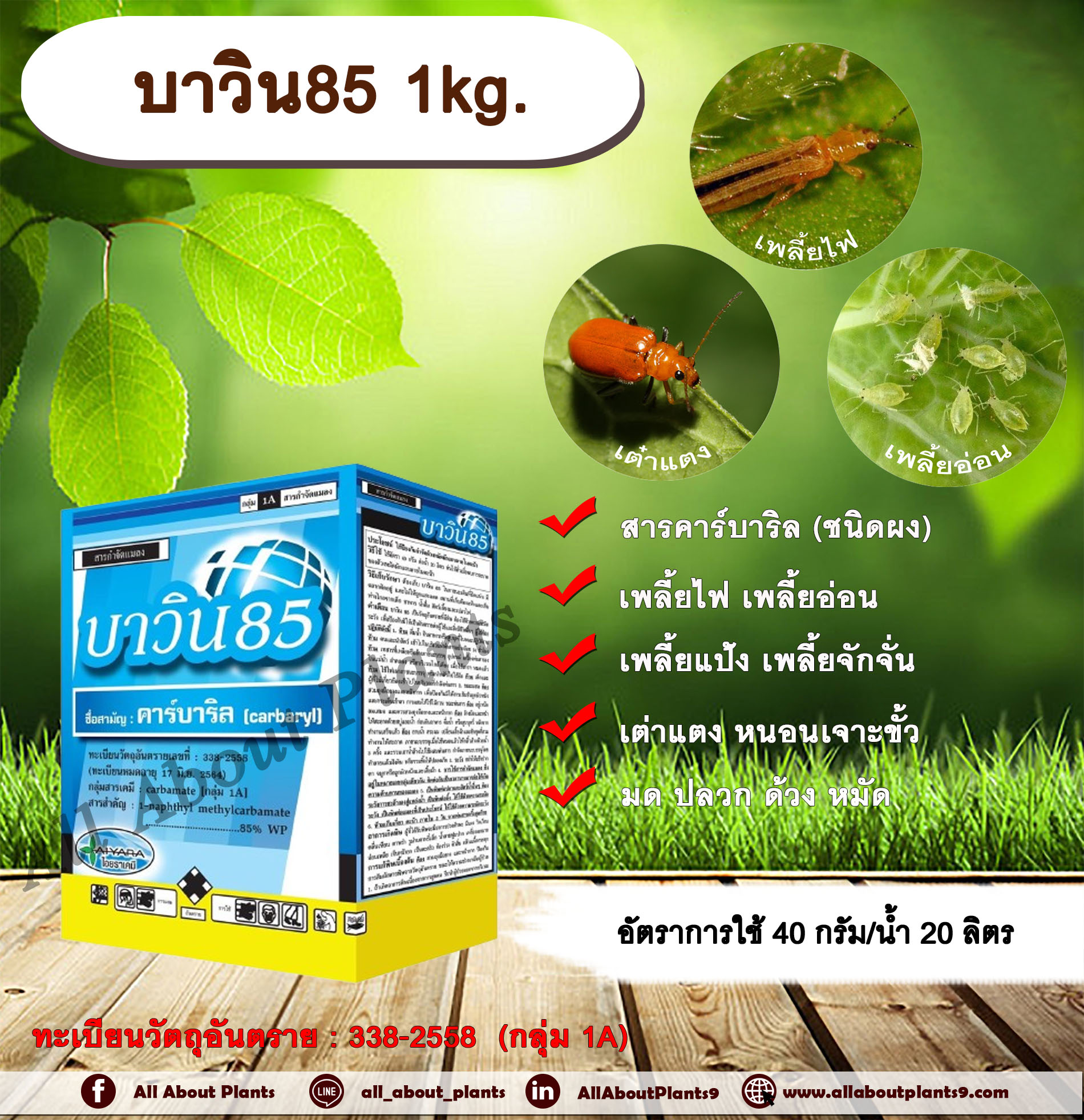 บาวิน85 1kg. คาร์บาริล สารกำจัดแมลง กำจัดเพลี้ย เพลี้ยไฟ เพลี้ยอ่อน เพลี้ยแป้ง เพลี้ยจักจั่น เต่าแตง กำจัดแมลงใต้ดิน มด ปลวก ด้วง หมัด กล่อง