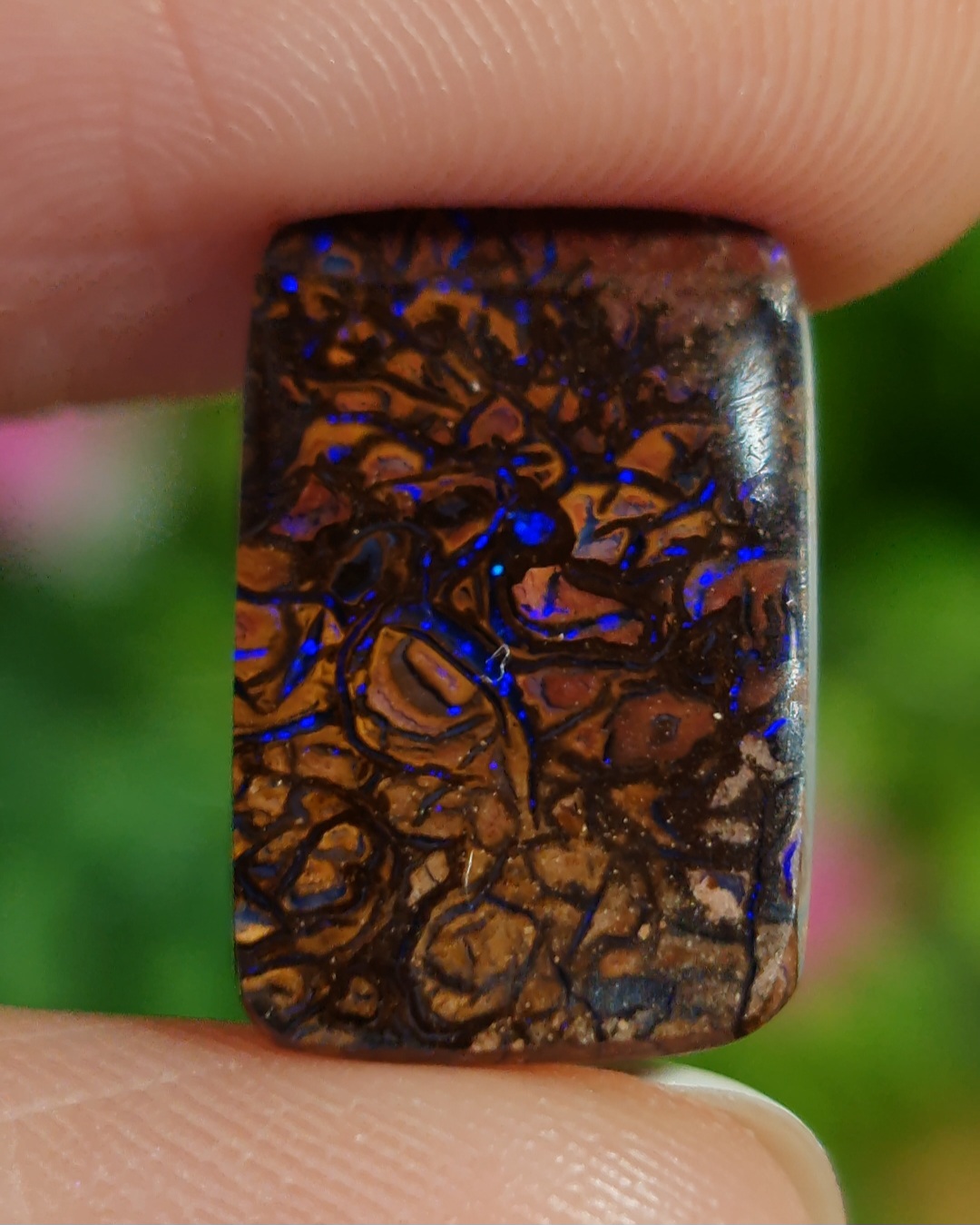 พลอย โบลเดอร์ โอปอล ออสเตรเลีย Australian Boulder Opal 7.00 กะรัต (Cts.) พลอยแท้ อัญมณีมงคลประจําวันเกิด เครื่องประดับพลอย