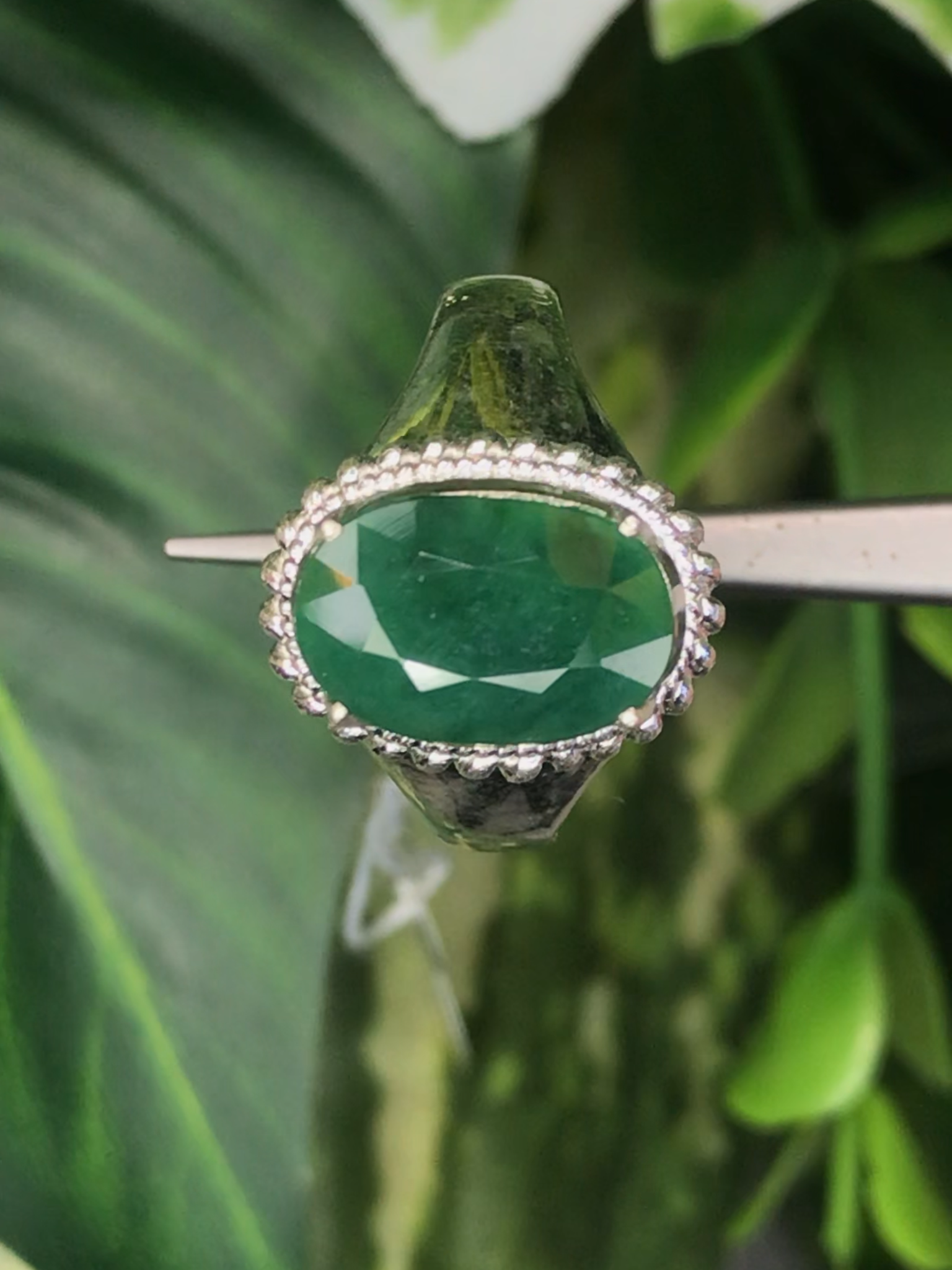 หยก พม่า แท้ Jade แหวนหยก 翡翠戒指 (Jadeite ring) ดิบ (Size) 56 ไม่ผ่านการปรับปรุง (Type A) พม่า (Myanmar)