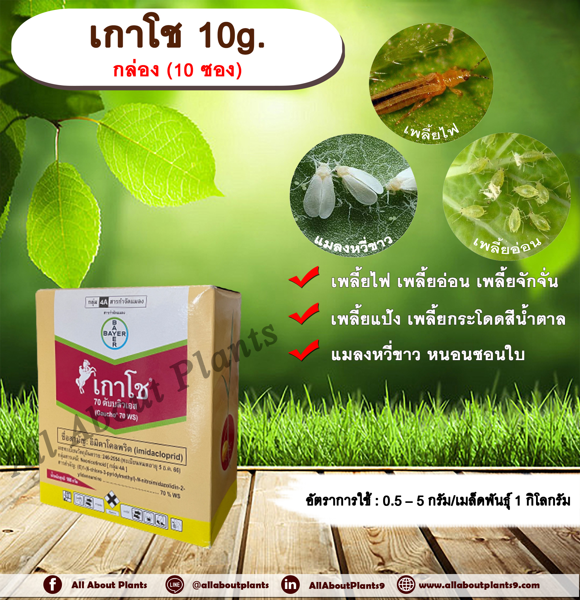 เกาโช 10g. 1 กล่อง 10 ซอง อิมิดาคลอพริด คลุกเมล็ดพันธุ์ สารกำจัดแมลง คลุกเมล็ดก่อนปลูก แมลงในดิน กำจัดเพลี้ย กำจัดแมลง แมลงในดิน allaboutplants ชิ้น