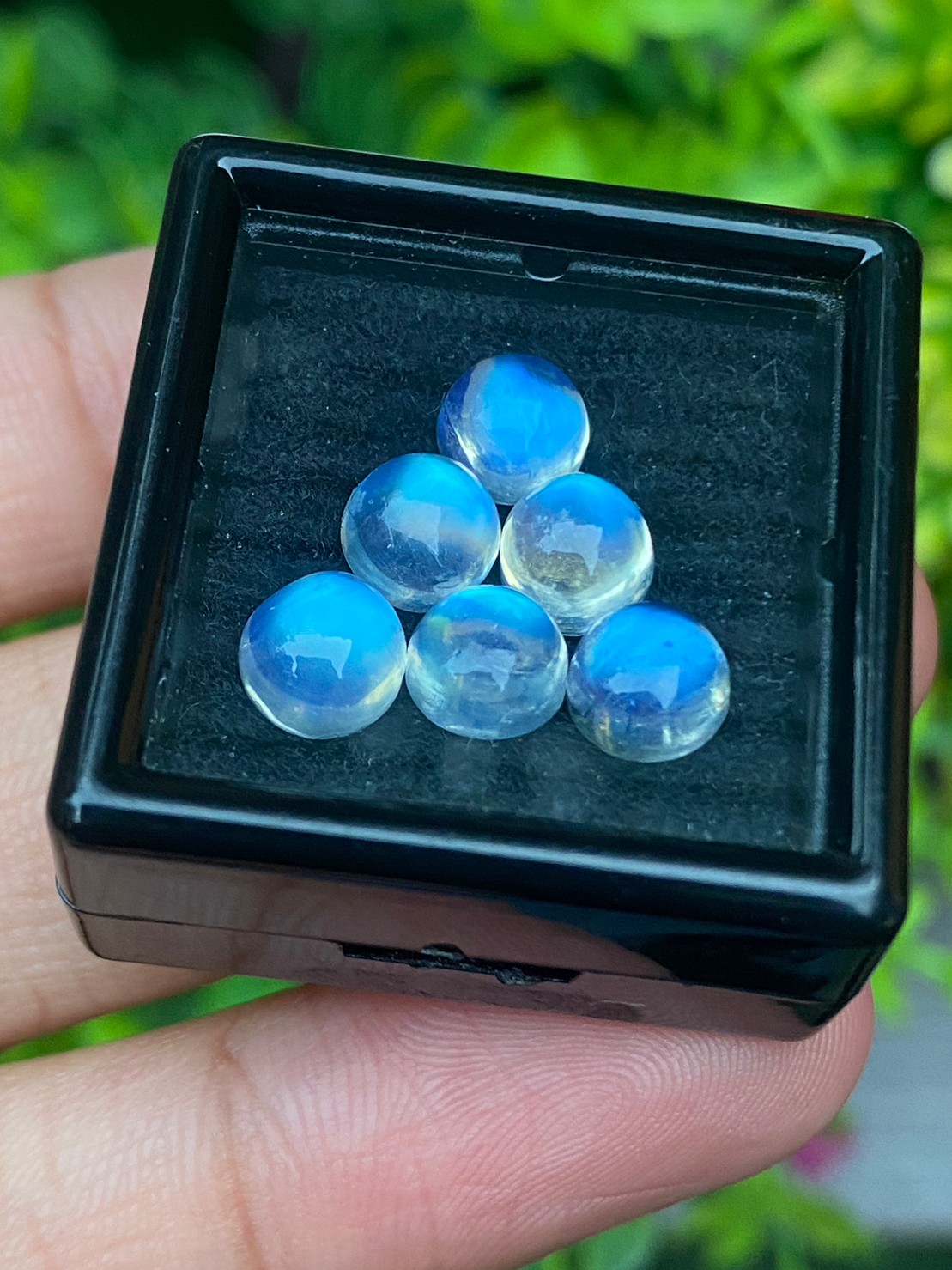 พลอย มุกดาหาร เรนโบว์ มูนสโตน Rainbow Moonstone 7.20 กะรัต 6 เม็ด พลอยแท้ อัญมณีมงคลประจําวันเกิด เครื่องประดับพลอย