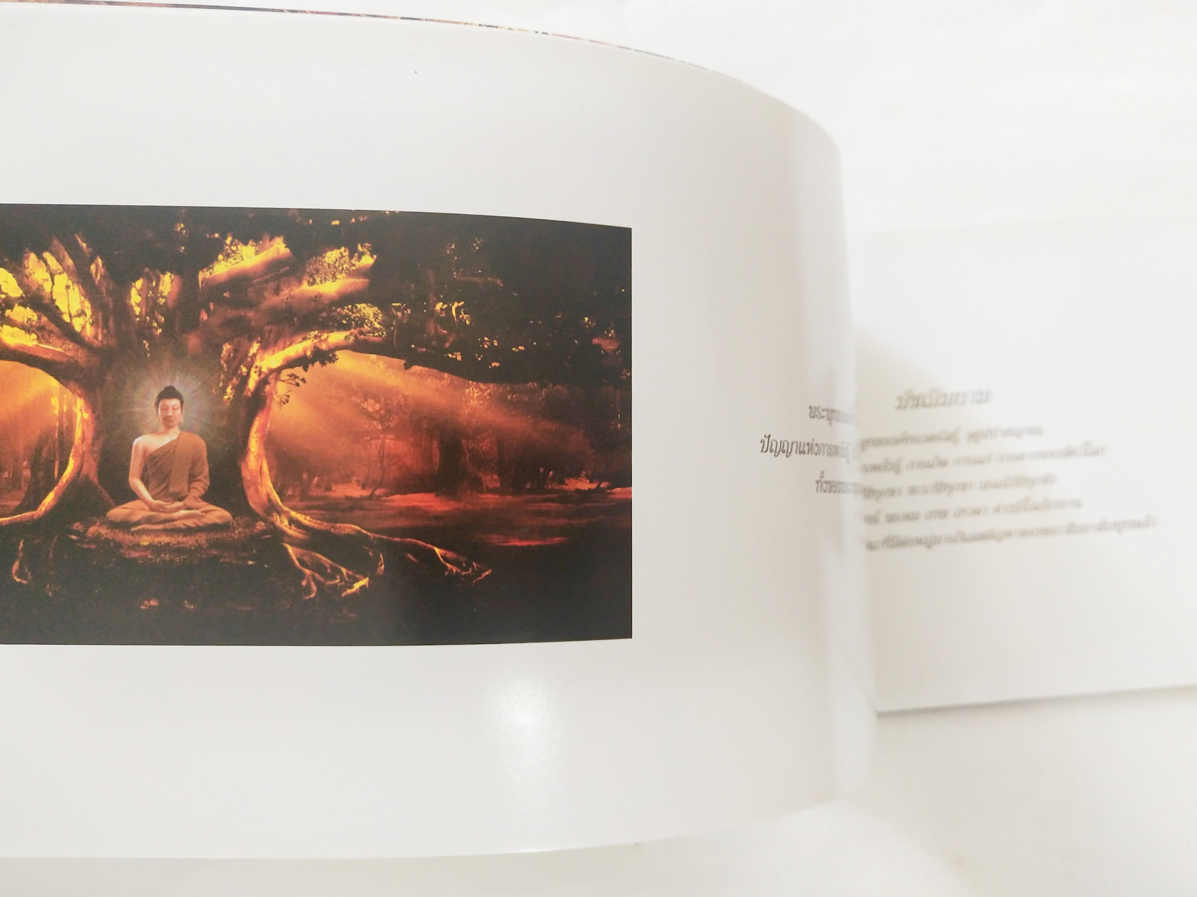 หนังสือภาพสวยเล่มยาว พระพุทธเจ้า เรื่องราวเกี่ยวกับพระศาสดา พร้อมภาพสีทั้งเล่ม