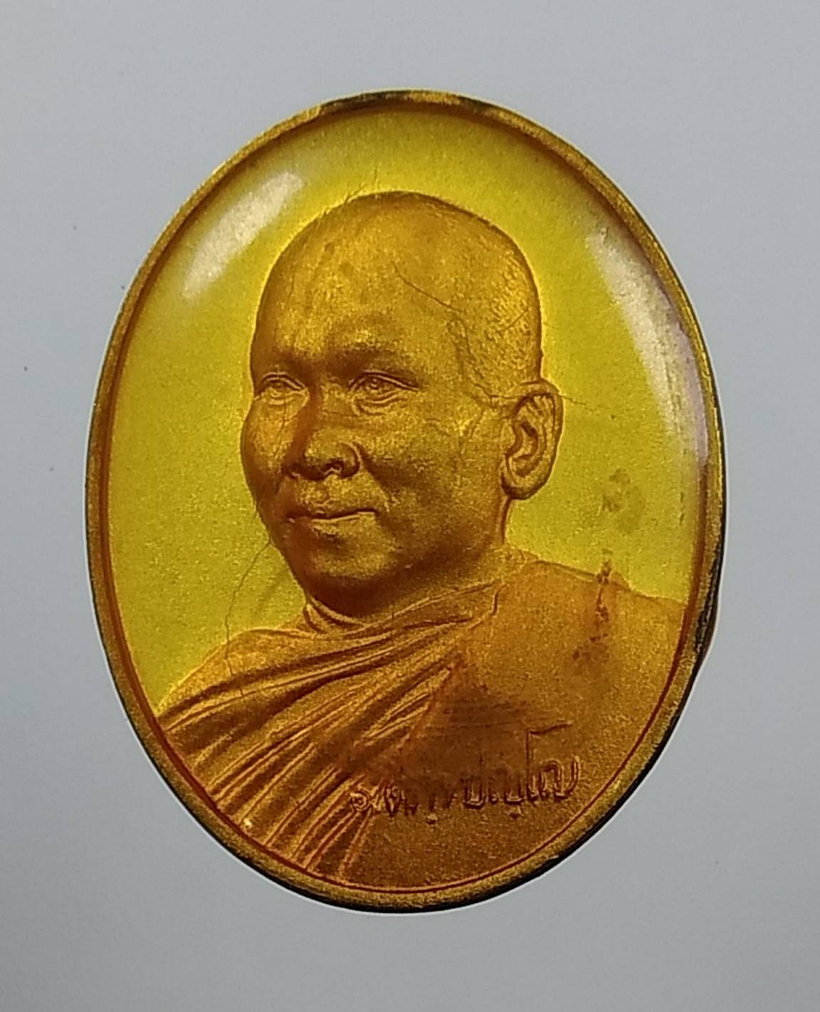 A1656 เหรียญเมตตาธรรมค้ำจุนโลก พระอาจารย์อลงกต วัดพระบาทน้ำพุ จ.ลพบุรี ปี2544