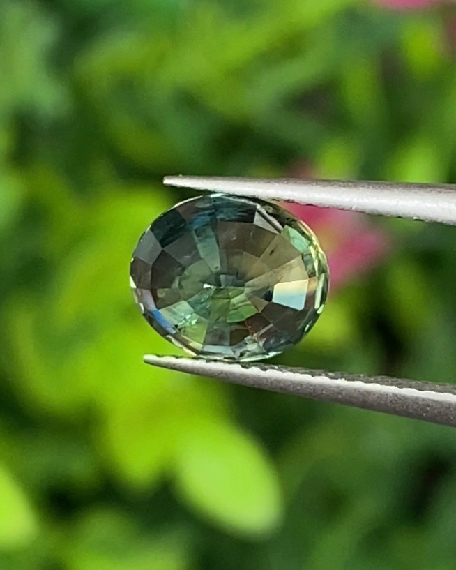 พลอย แซฟไฟร์ 3 สี Tri-Color Sapphire 1.65 กะรัต (Cts.) พลอยแท้ อัญมณีมงคลประจําวันเกิด เครื่องประดับพลอย