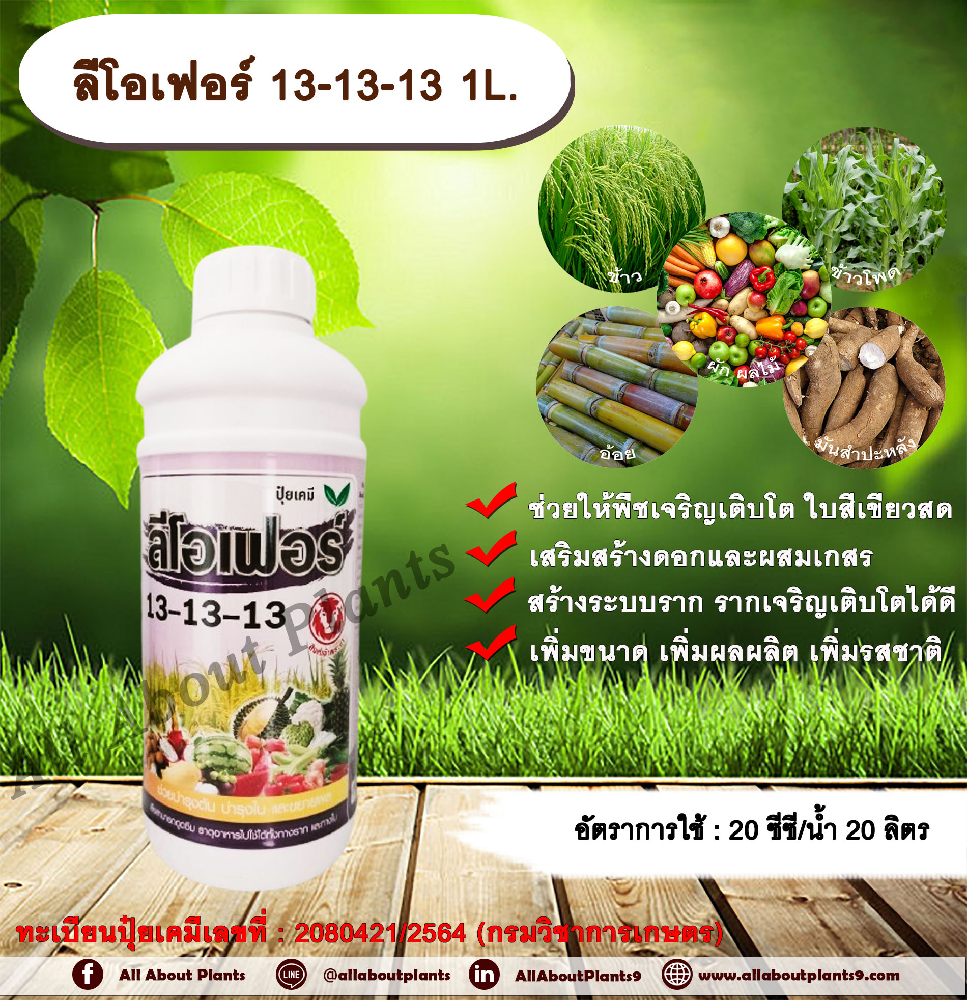 ลีโอเฟอร์ 13-13-13 1L. ช่วยให้พืชเจริญเติบโต ใบสีเขียวสด เสริมสร้างดอก ผสมเกสร สร้างระบบราก รากเจริญเติบโต เพิ่มขนาด เพิ่มผลผลิต เพิ่มรสชาติ ทุกช่วงการเจริญเติบโตของพืช ปุ๋ยน้ำ ฮอร์โมนพืช ปุ๋ยNPK ปุ๋ยน้ำNPK ขวด
