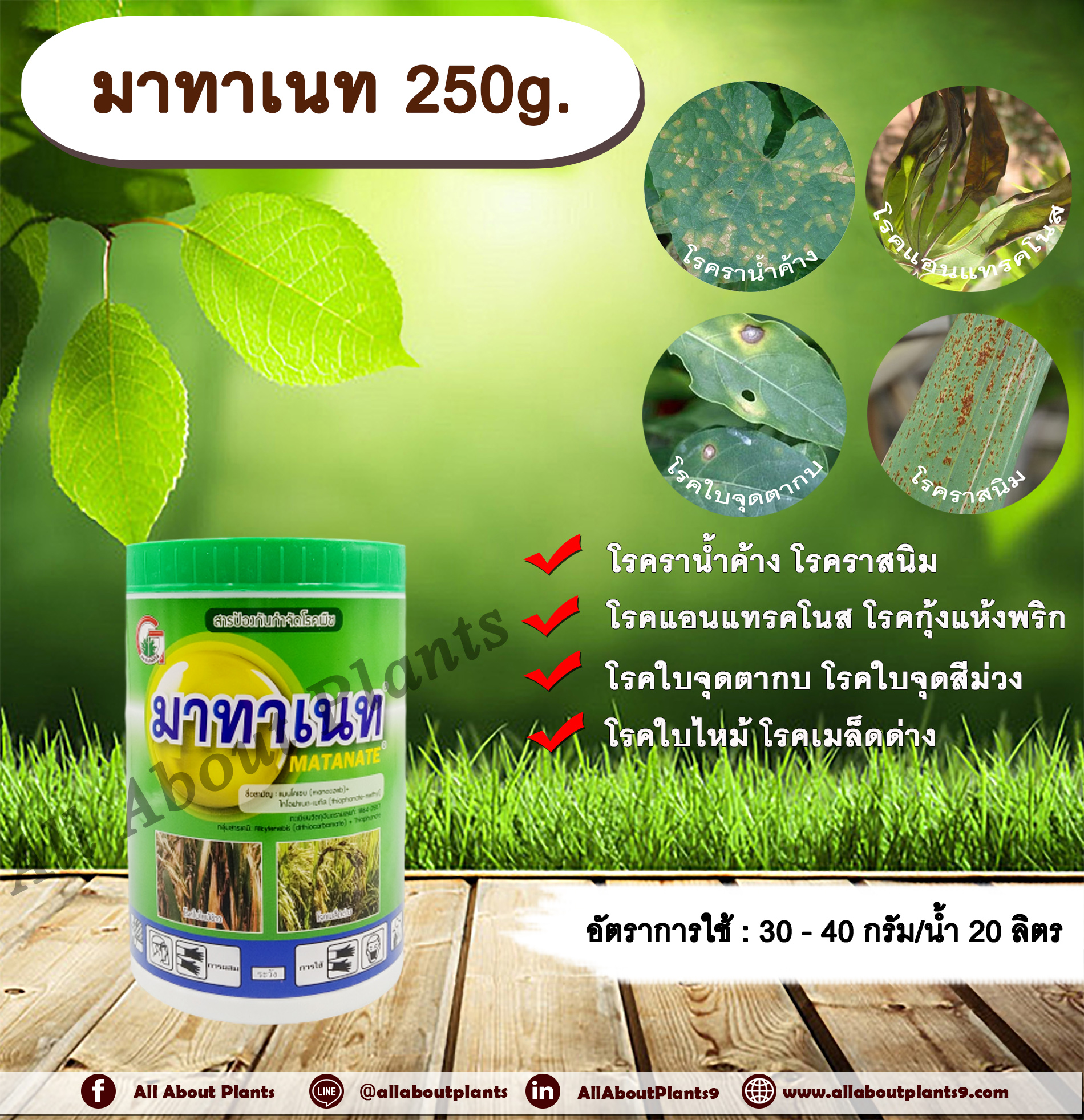 มาทาเนท 250g. แมนโคเซบ+ไทโอฟาเนทเมทิล สารจัดโรคพืช กำจัดเชื้อรา โรคราน้ำค้าง โรคราสนิม โรคแอนแทรคโนส โรคกุ้งแห้งพริก โรคใบจุดตากบ โรคใบจุดสีม่วง โรคใบไหม้ โรคเมล็ดด่าง โรคราเข้าขั้ว allaboutplants ชิ้น